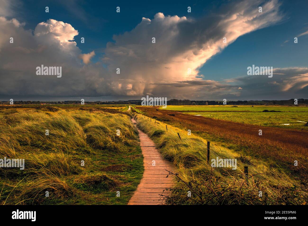 Vista lungo un sentiero di riva del mare sulla costa di Norfolk. Foto Stock