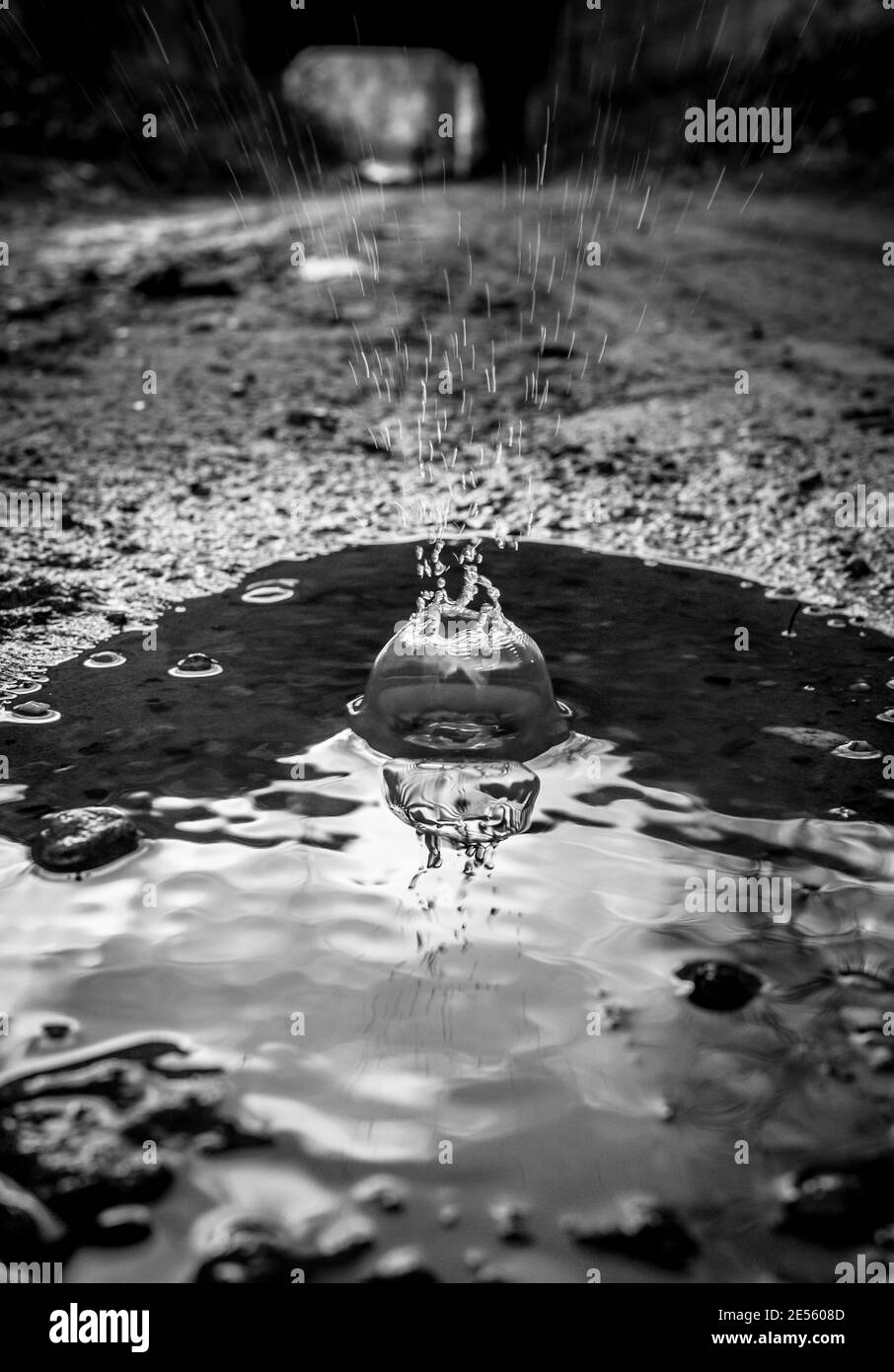 Gocciolina d'acqua che colpisce una piccola puddle. Foto Stock