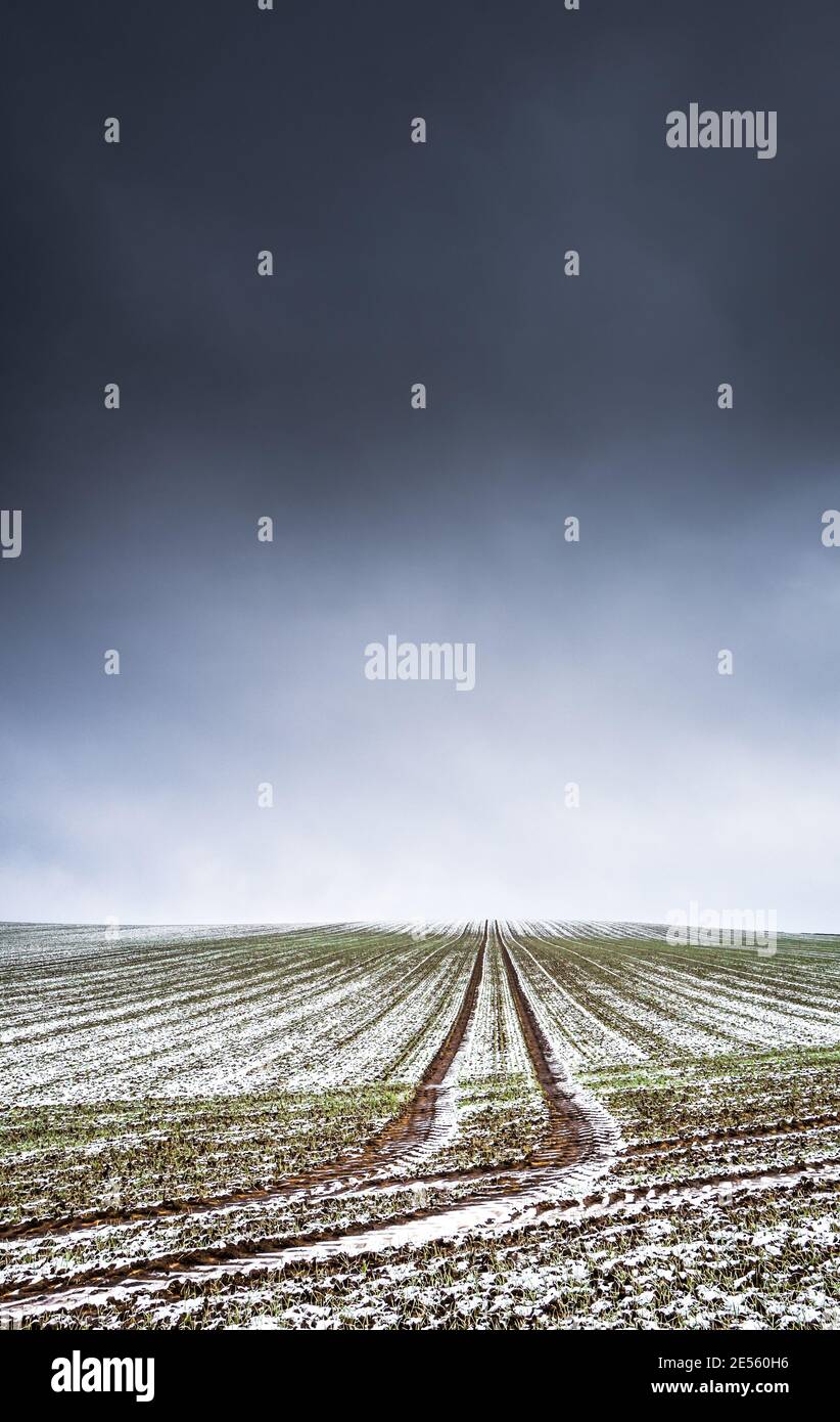 Strato sottile di neve su un campo. Foto Stock