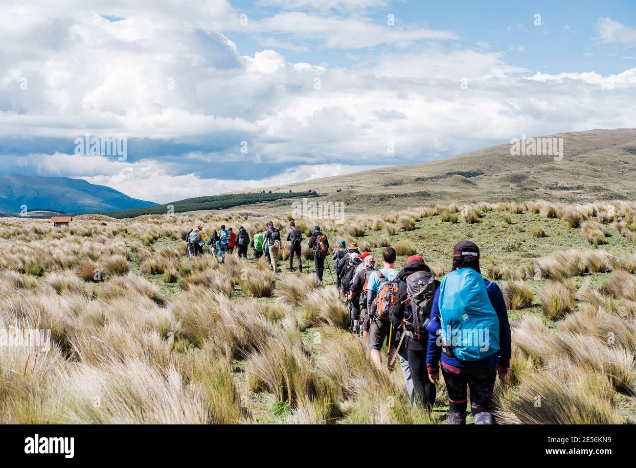 Un gruppo di persone che camminano nel Parco Nazionale di Cotopaxi. Foto Stock