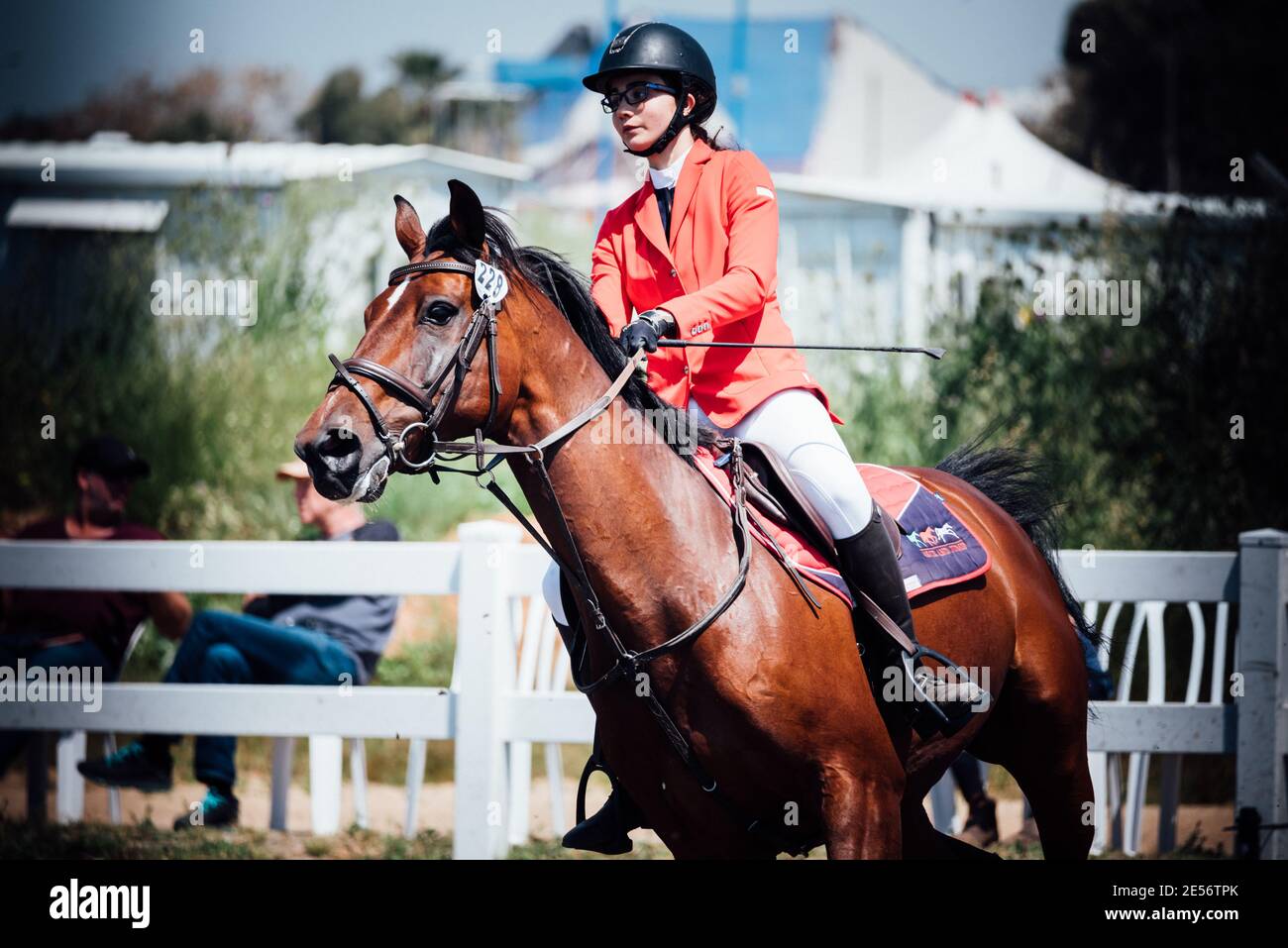 Baron Maya, FEI World Jumping Challenge Israele 2019 Foto Stock