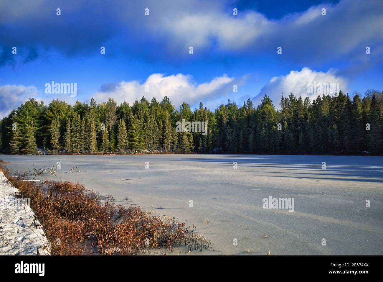 Un piccolo lago ghiacciato si trova davanti ad una foresta di alberi sempreverdi e sotto nuvole soffici in cielo blu in inverno. Foto Stock