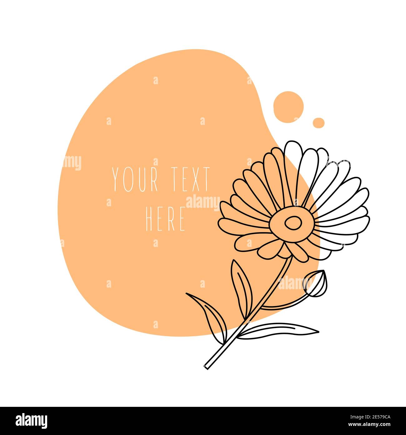 Calendula fiore minimo su sfondo astratto. Illustrazione Vettoriale