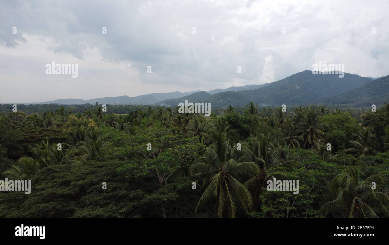 Vista aerea dei campi di riso e delle montagne di Yogyakarta, Indonesia. Viaggio nel sud-est asiatico concetto Foto Stock