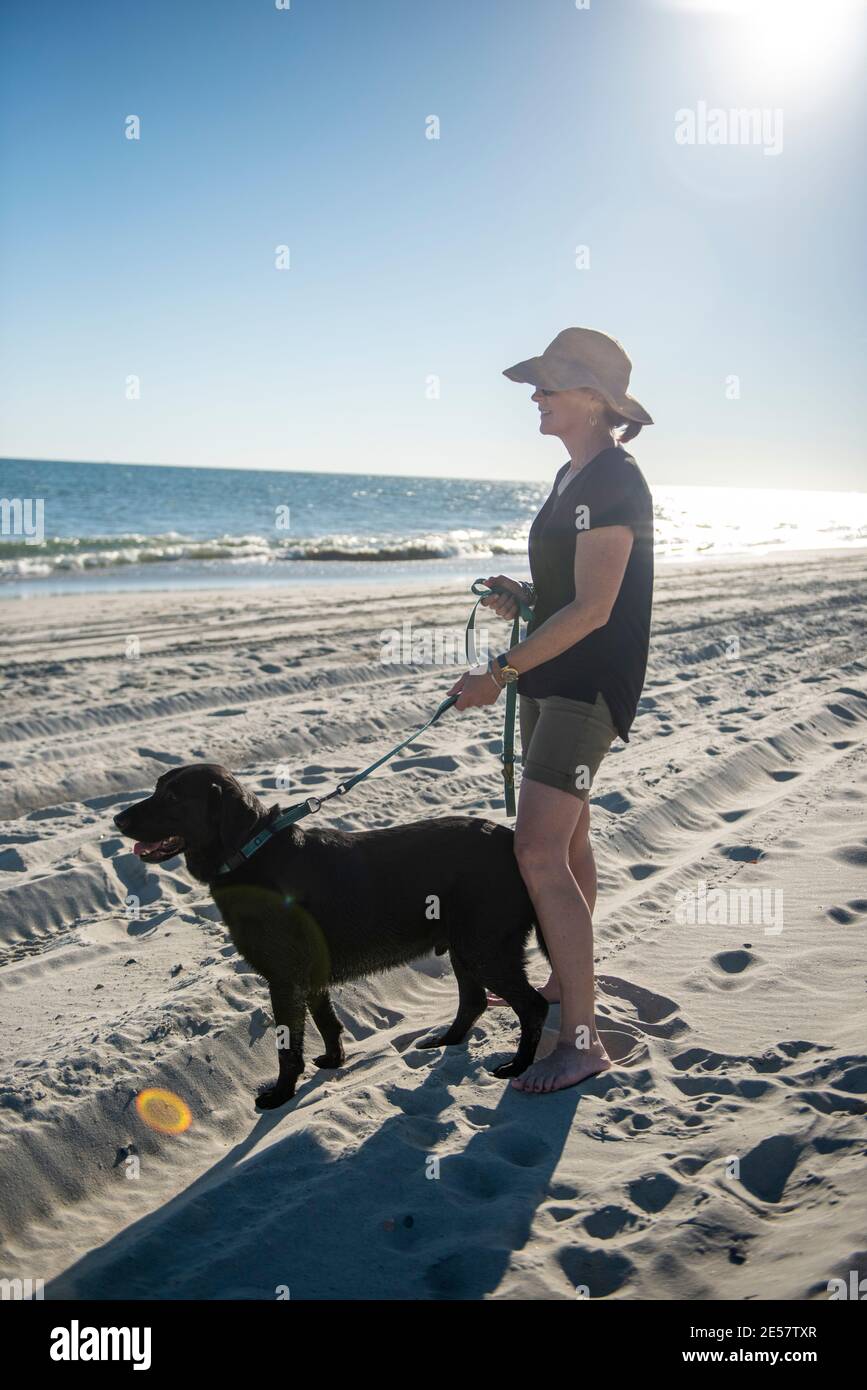 Una donna porta il suo nero labrador Retriever in spiaggia per la prima volta ad Atlantic Beach, North Carolina. Foto Stock