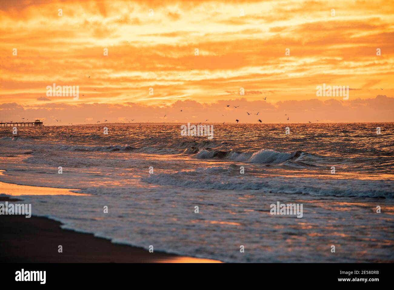Gli uccelli marini volano in basso sopra l'acqua mentre il sole arriva sopra l'Oceano Atlantico. Foto Stock