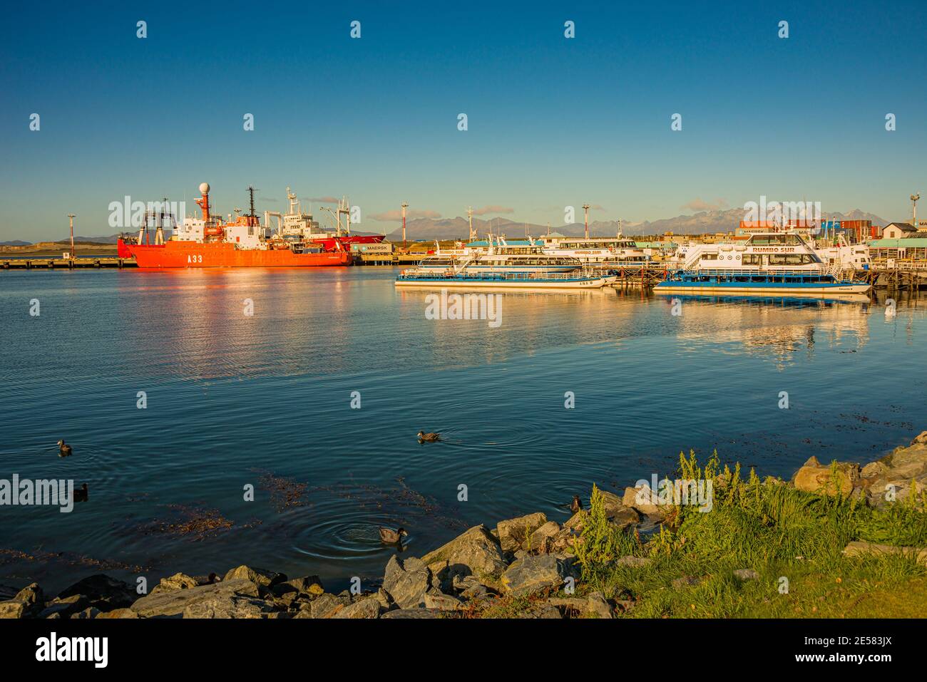 Navi da crociera e cargo al porto di Ushuaia nel Parco Nazionale Tierra del Fuego al tramonto, Patagonia, Argentina Foto Stock