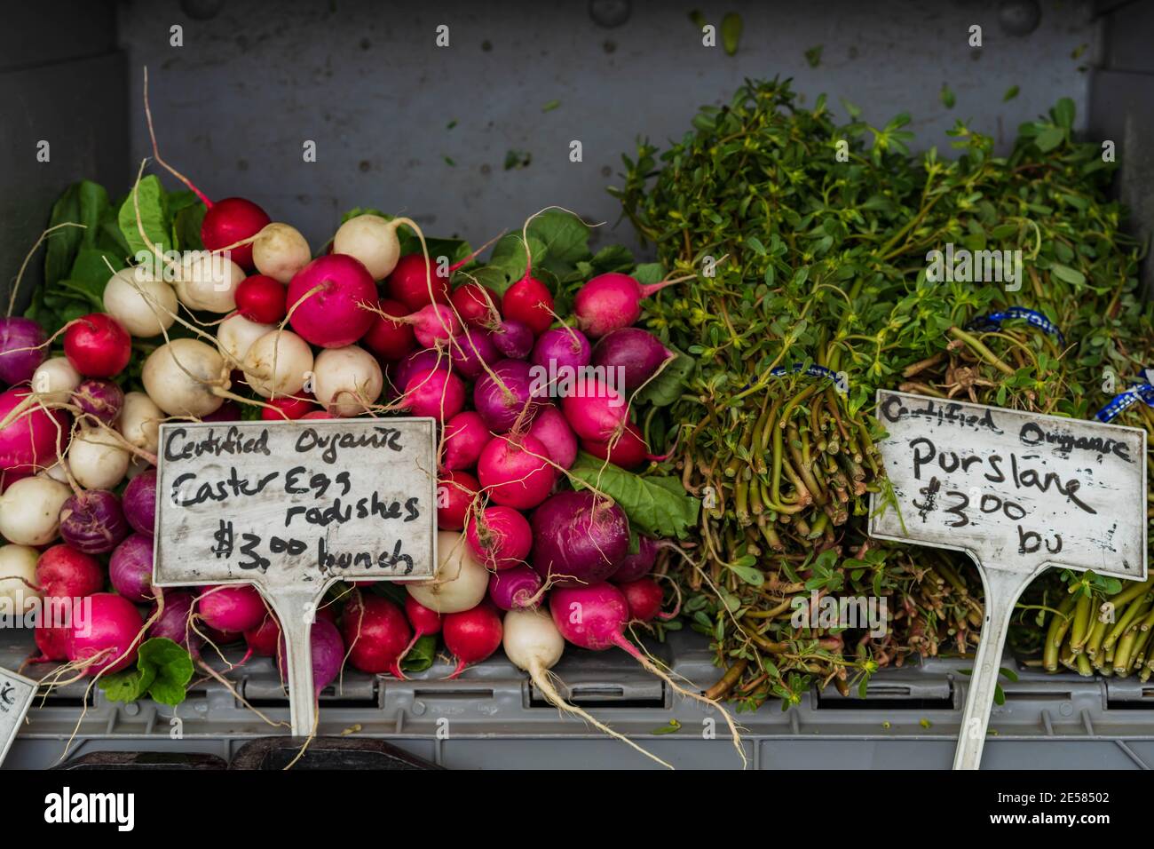 Verdure biologiche ed erbe al mercato dell'agricoltore Foto Stock