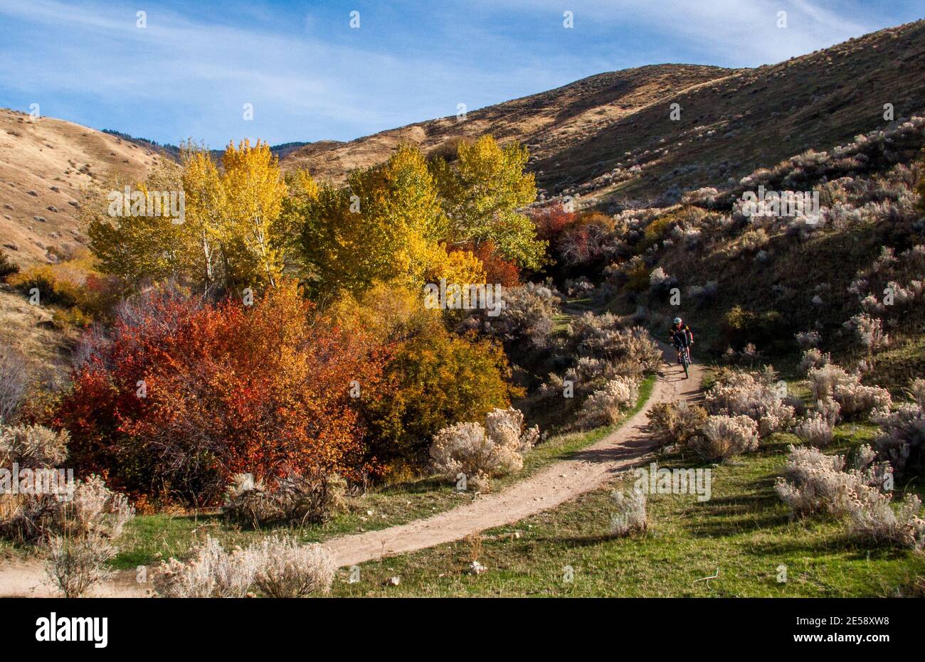 Rider on Corrals mt bike trail in Boise pedemontane; parte del sistema 'Ridge to Rivers' trail su terra amministrata dal Bureau of Land Management Foto Stock