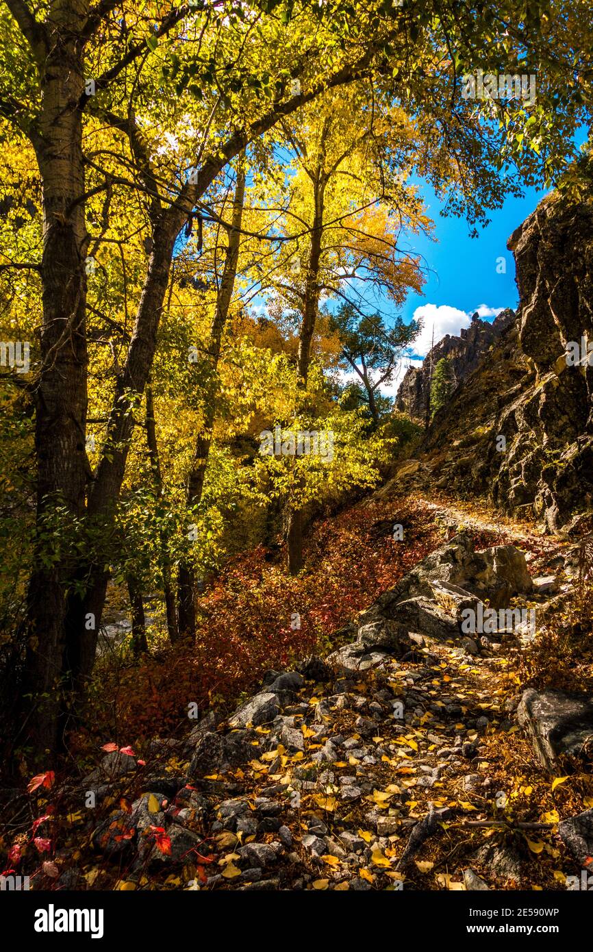 La biforcazione nord del sentiero del fiume Boise segue il fiume attraverso uno spettacolare canyon nella Boise National Forest dell'Idaho Foto Stock