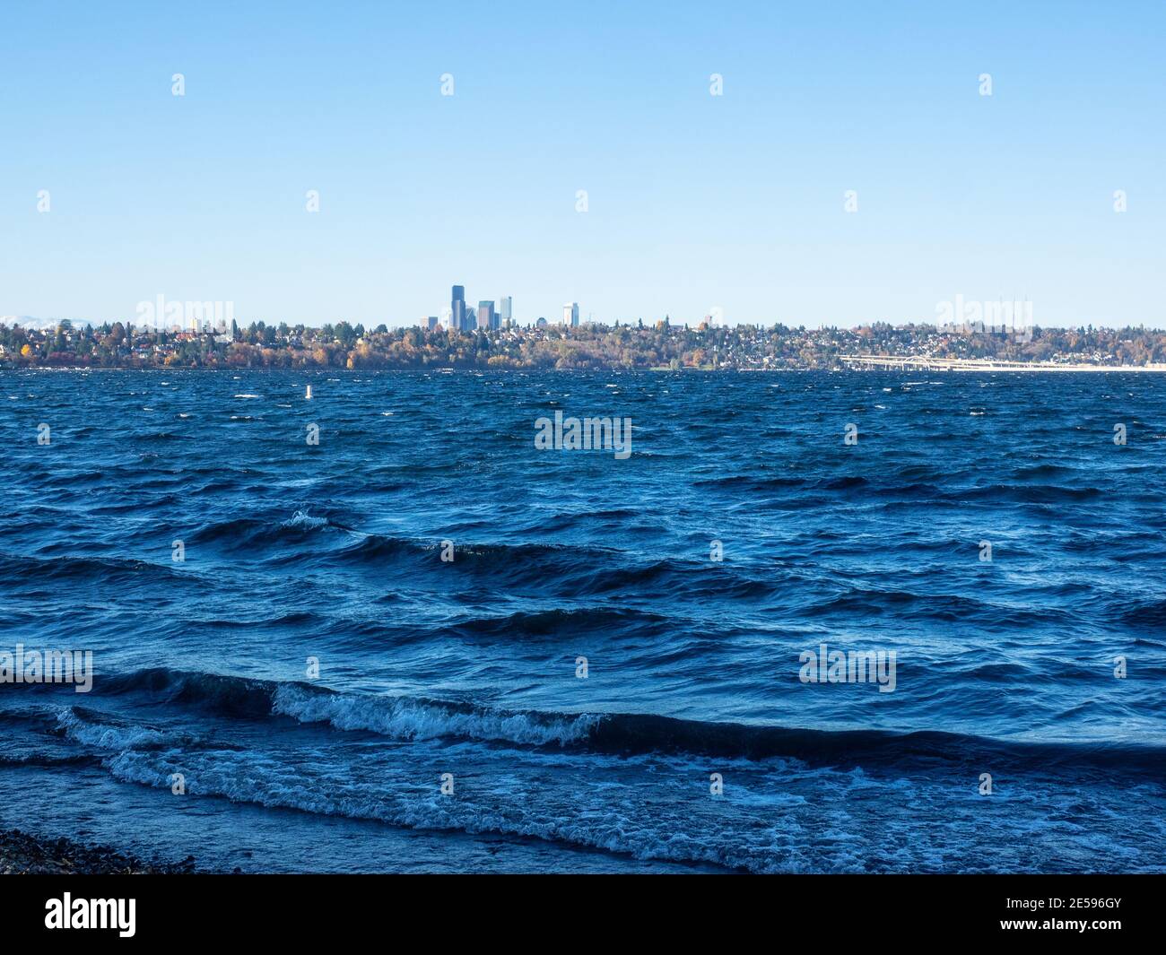 Seward Park è un parco municipale di Seattle, Washington, Stati Uniti. Situato nel quartiere della città con lo stesso nome, si estende su 300 ettari (120 ettari; Foto Stock