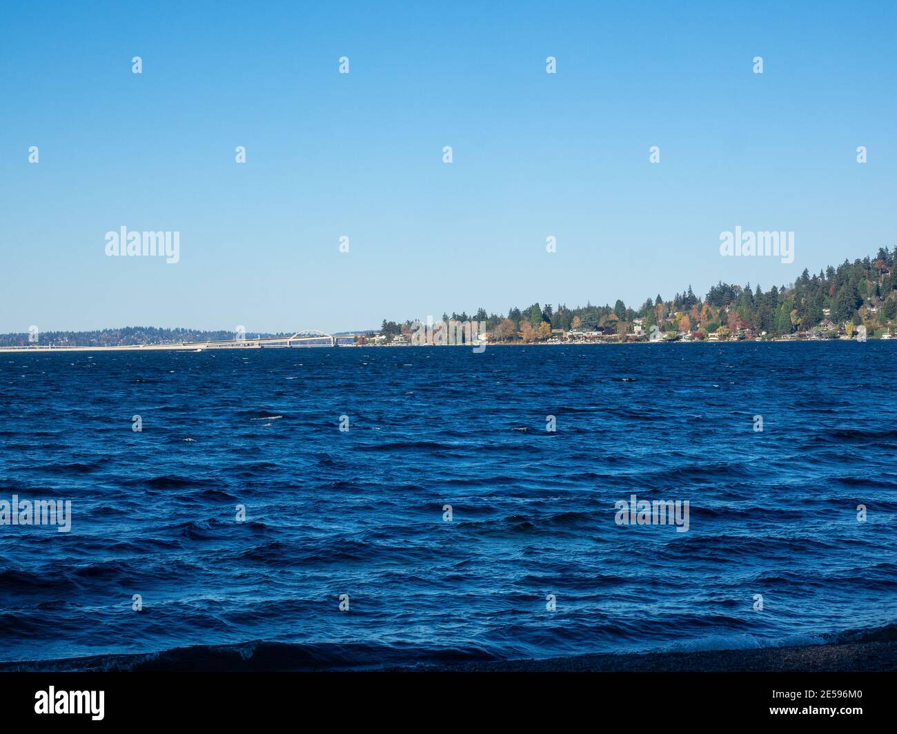 Seward Park è un parco municipale di Seattle, Washington, Stati Uniti. Situato nel quartiere della città con lo stesso nome, si estende su 300 ettari (120 ettari; Foto Stock