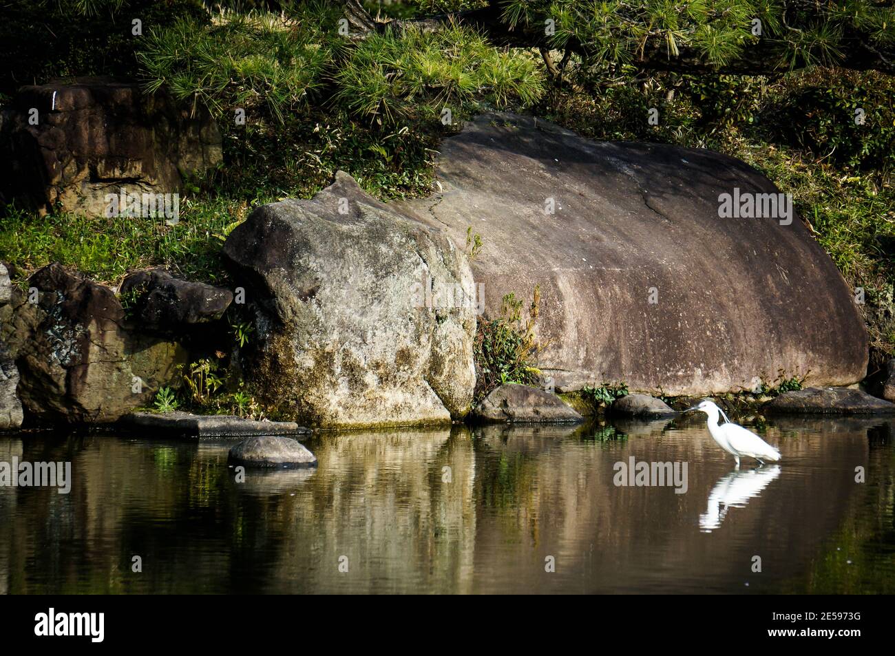 Lago giapponese con gru Foto Stock