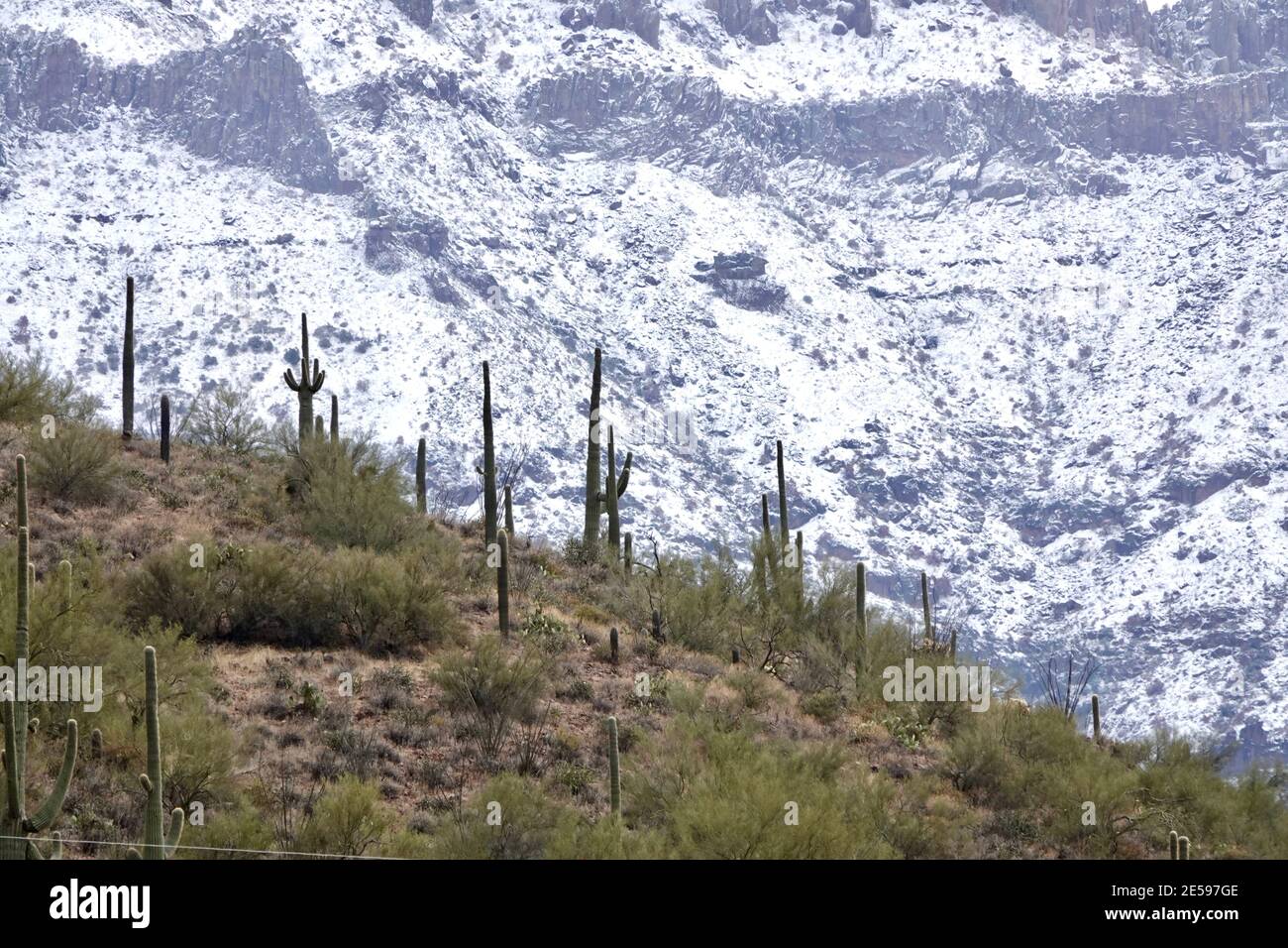 Una tempesta invernale copre le quattro montagne sulla neve nella natura selvaggia del deserto dell'Arizona fuori dalla città di Phoenix. Foto Stock