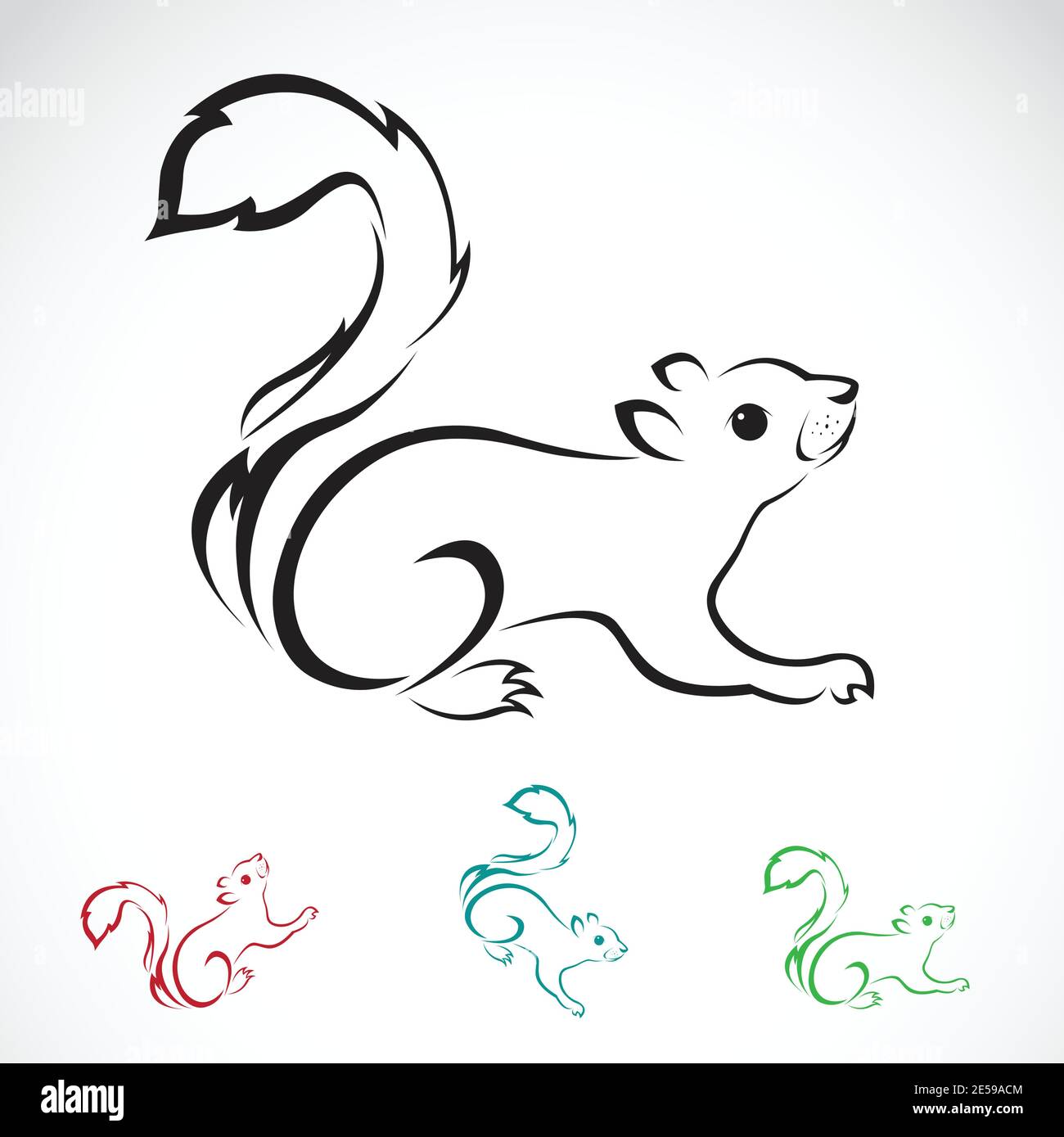 Immagine vettoriale di uno scoiattolo su sfondo bianco. Illustrazione vettoriale a livelli facilmente modificabile. Animali selvatici. Illustrazione Vettoriale