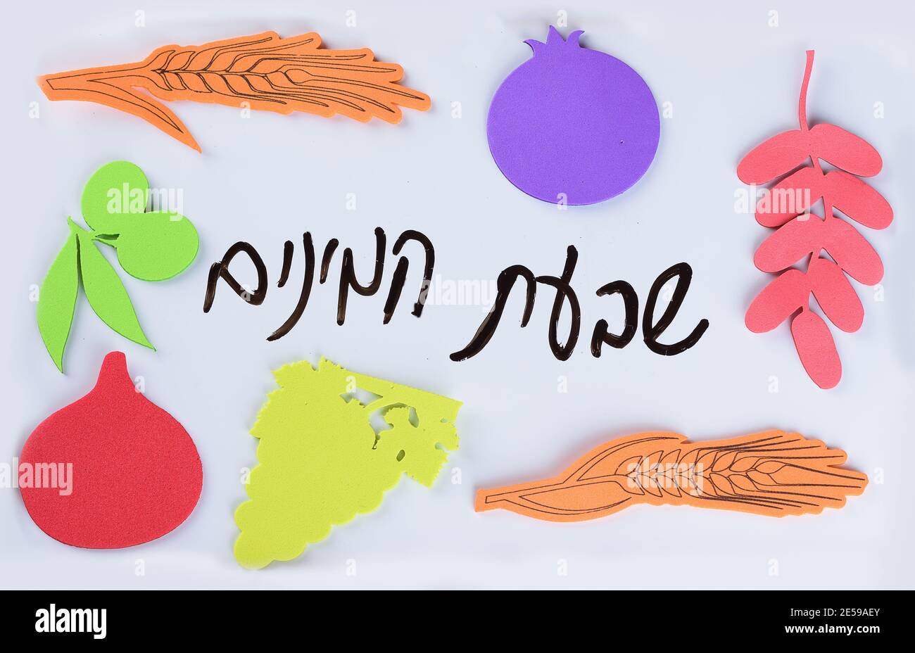 Tu Bishvat biglietto d'auguri, festa ebraica, nuovo anno di alberi.testo ebraico: Sette specie Shiva'at HaMinim sono sette prodotti agricoli - due grani e cinque frutti prodotti speciali di terra Israele. Foto Stock