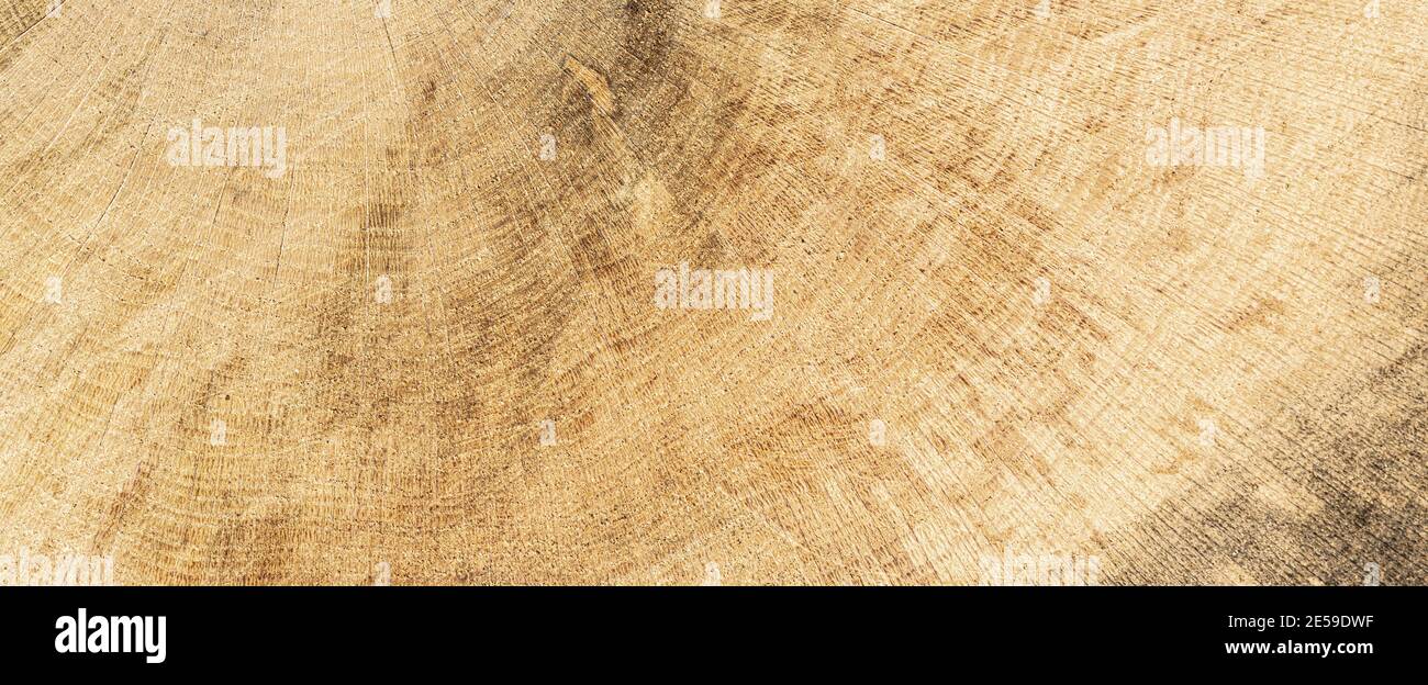 sfondo in legno per design Foto Stock