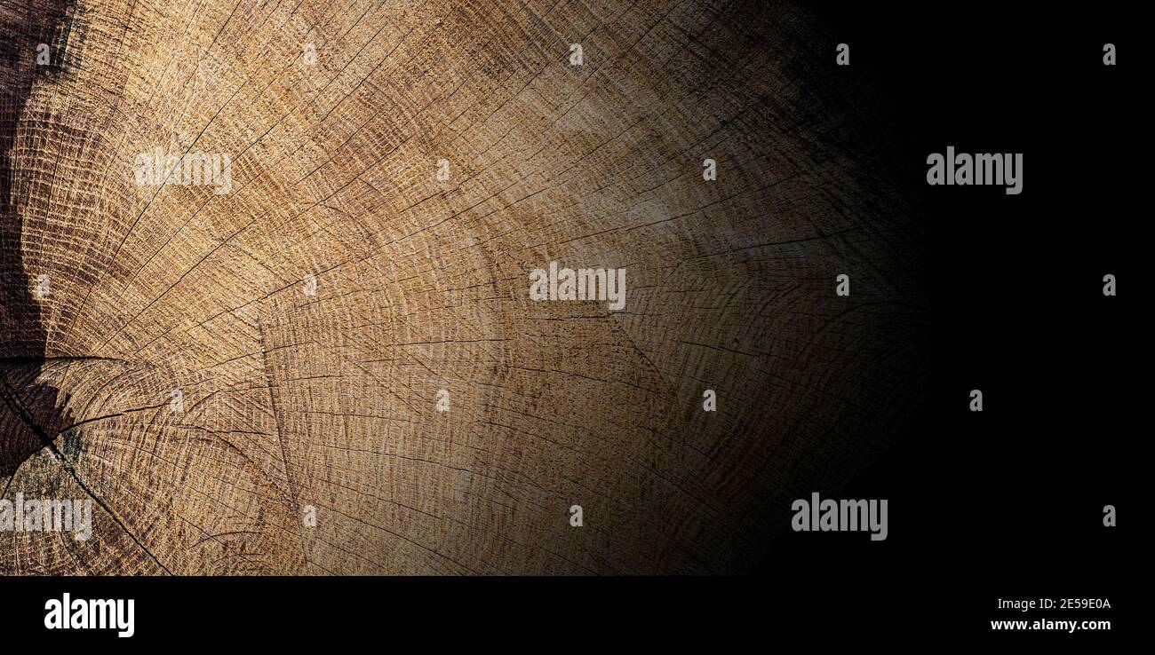 vecchio legno di quercia texture sfondo Foto Stock
