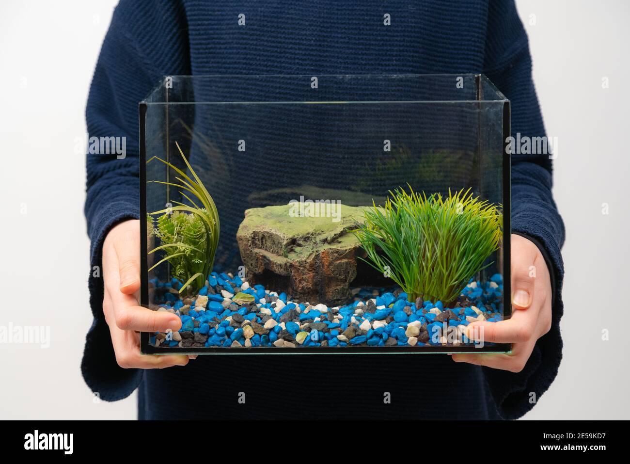 Persona che tiene acquario del serbatoio del pesce senza acqua e pesce su sfondo bianco. Primo animale domestico. Foto Stock