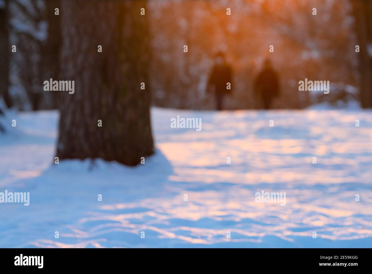 Vista sfocata di due silhouette che camminano nel parco al tramonto d'inverno. Sfondo fuori fuoco. Foto Stock