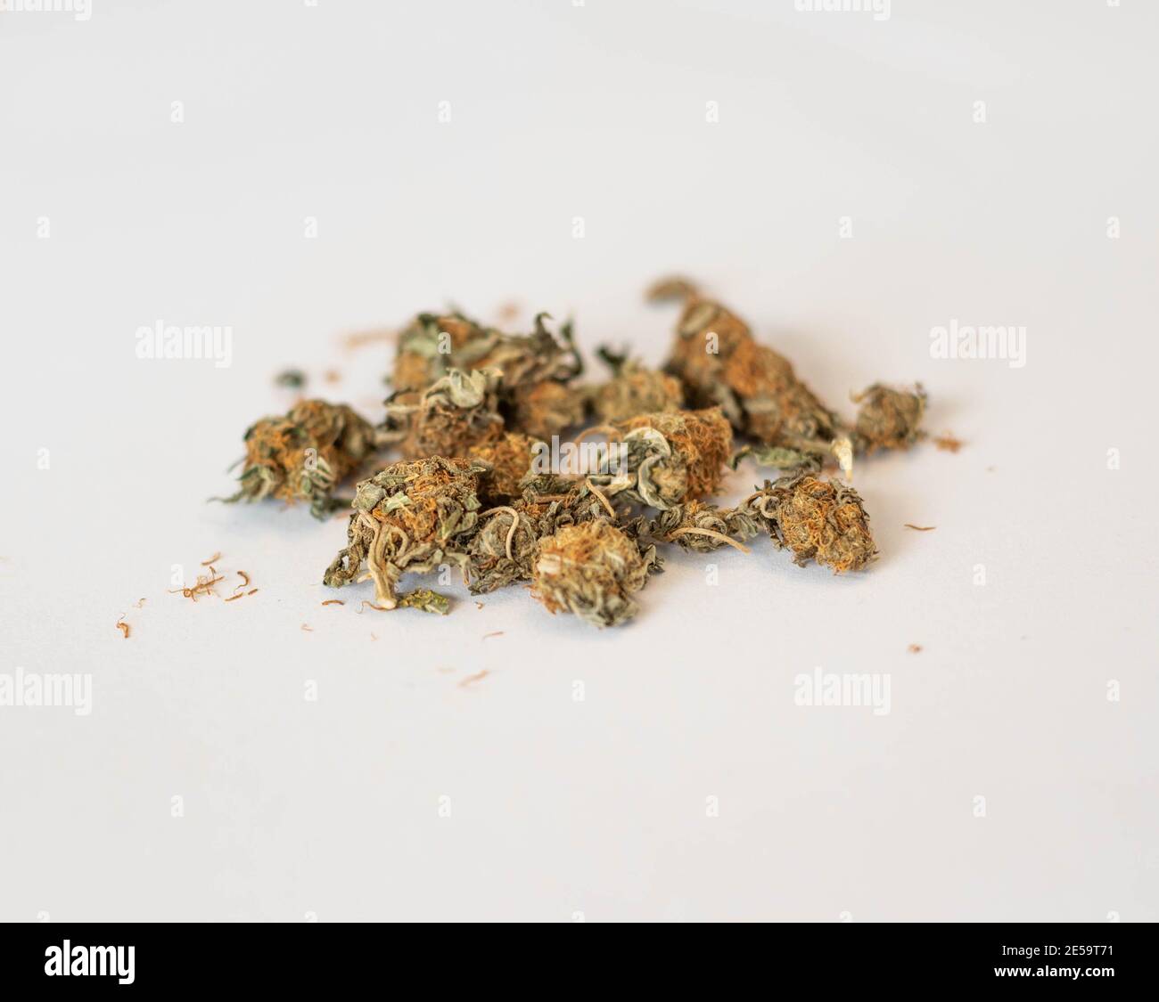 Fior di cannabis, marijuana, erbacce, droga per uso medico Foto Stock
