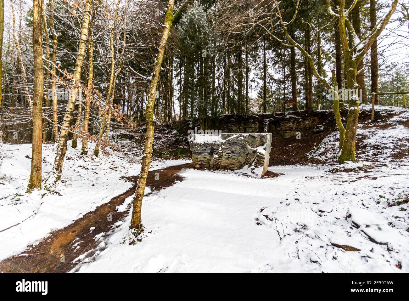 'Eco' di Annie Cattrell. Una passeggiata nella neve lungo la Foresta di Dean Sculpture Trail, Speech House Woods, Gloucestershire. Foto Stock