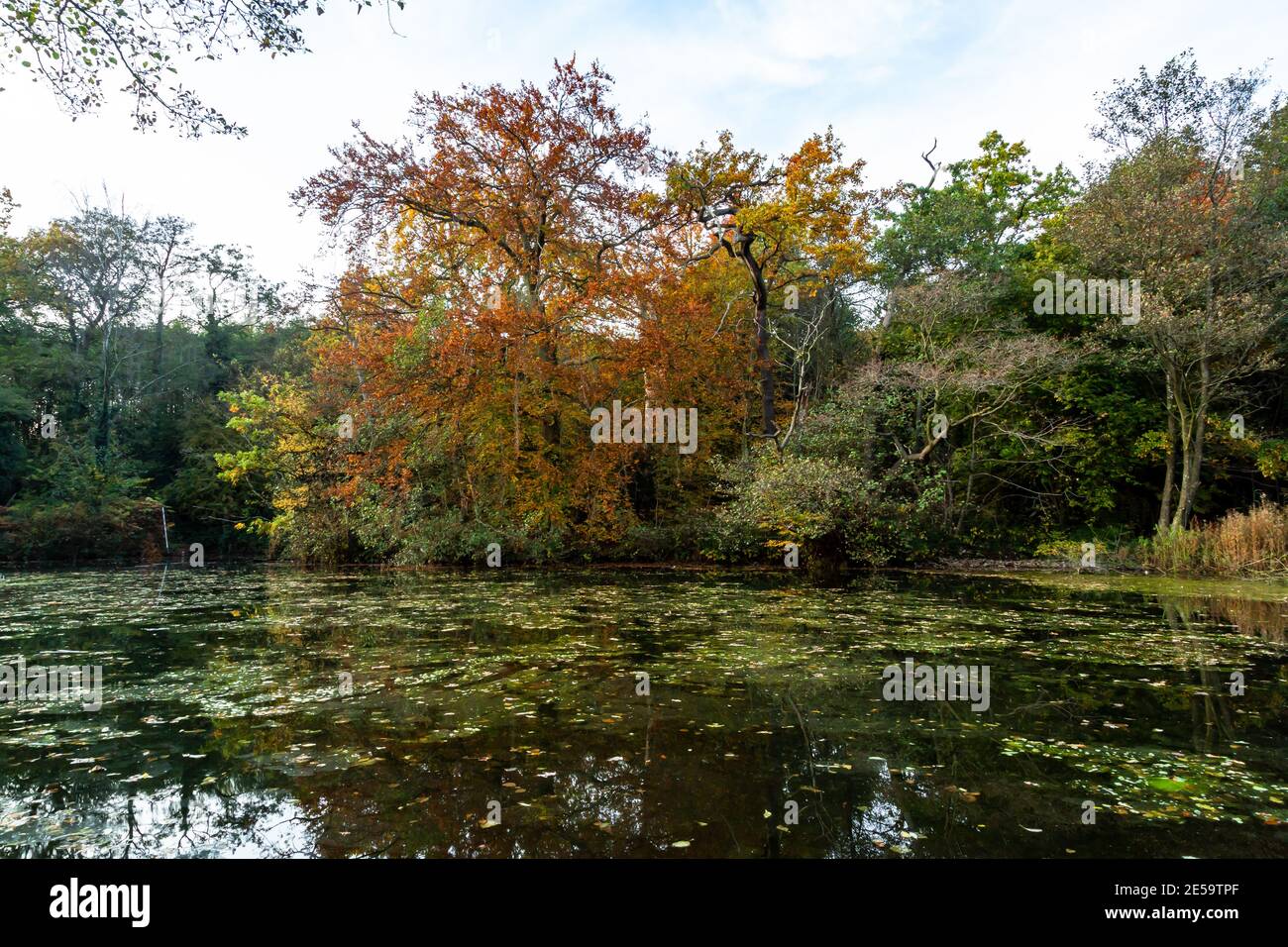 Un lago nebboso a Dudley, Regno Unito Foto Stock