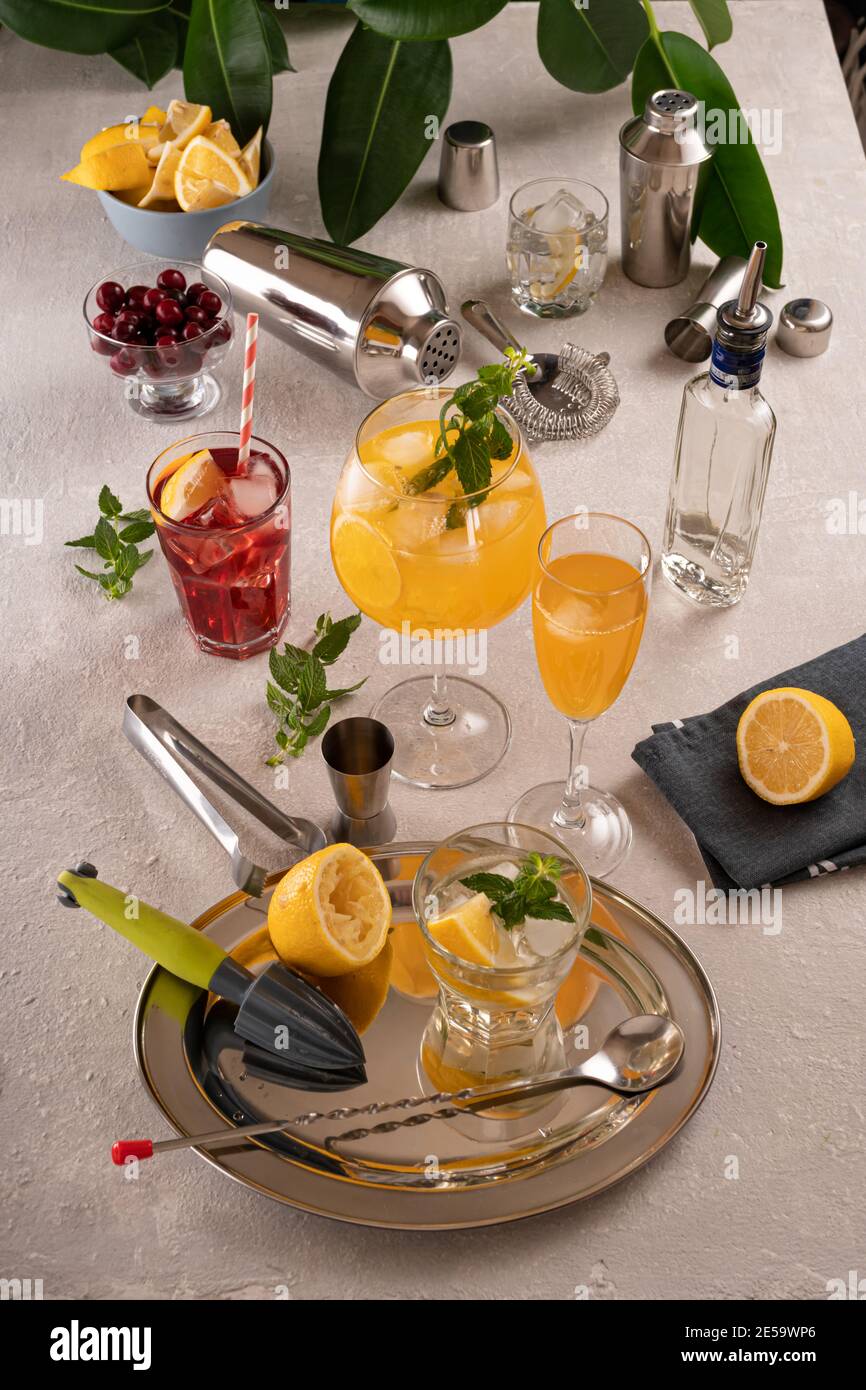 Preparazione di cocktail con alcol e ghiaccio, primo piano Foto Stock