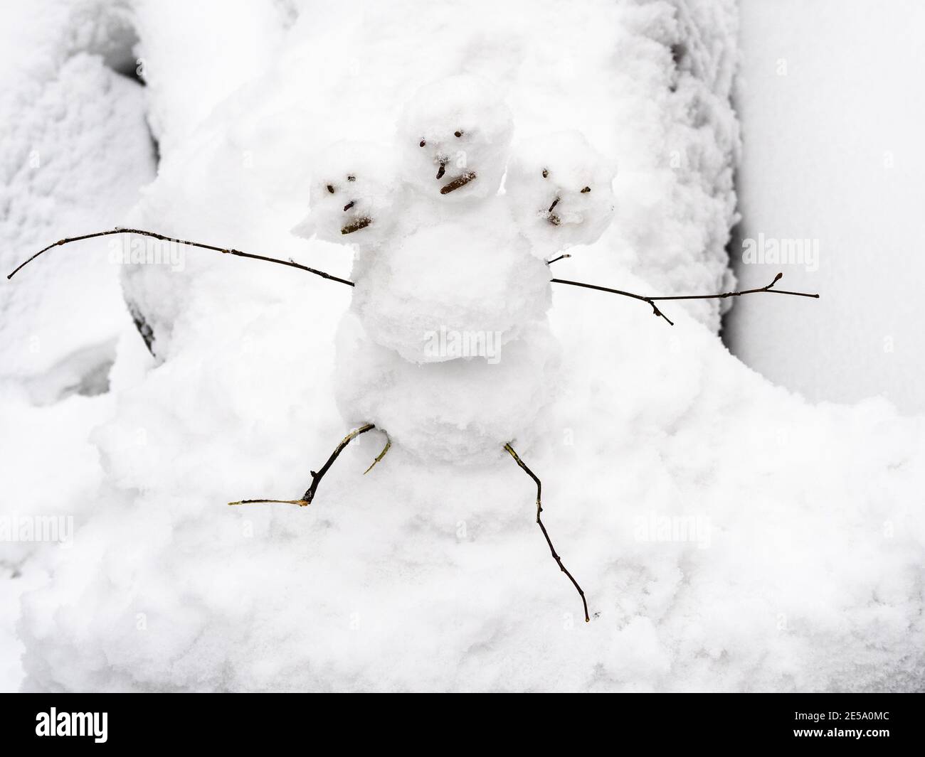 sopra la vista del piccolo pupazzo di neve a tre teste su un albero innevato caduto nel parco cittadino durante la giornata invernale Foto Stock
