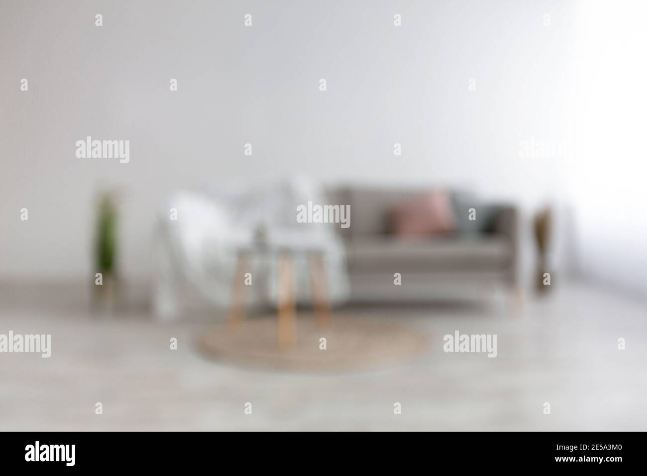 Divano grigio con cuscini blu, rosa e soffice coperta, piante secche in vaso, piante in vaso Foto Stock