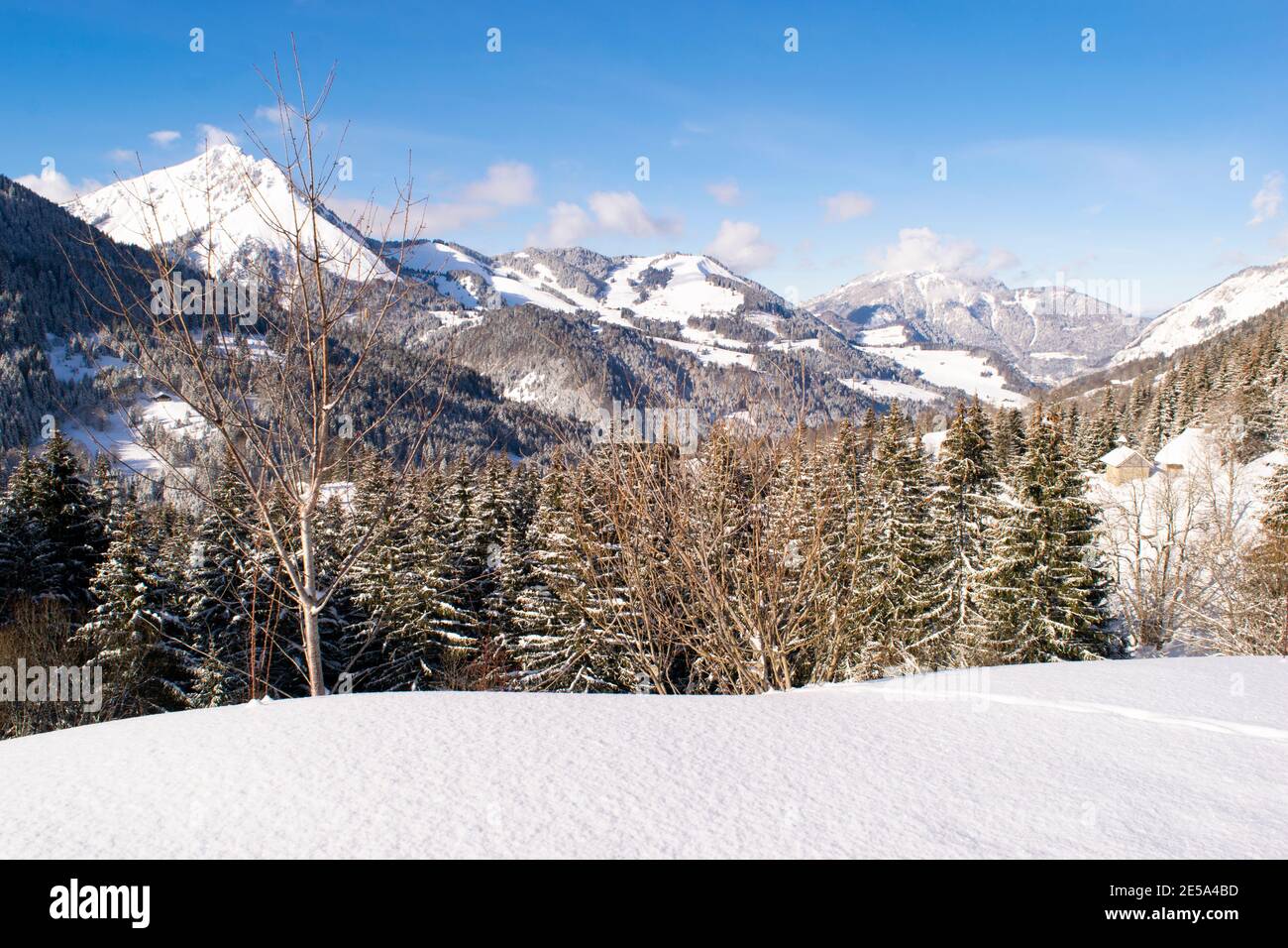 Immagine di paesaggio montano invernale nelle Alpi francesi Foto Stock