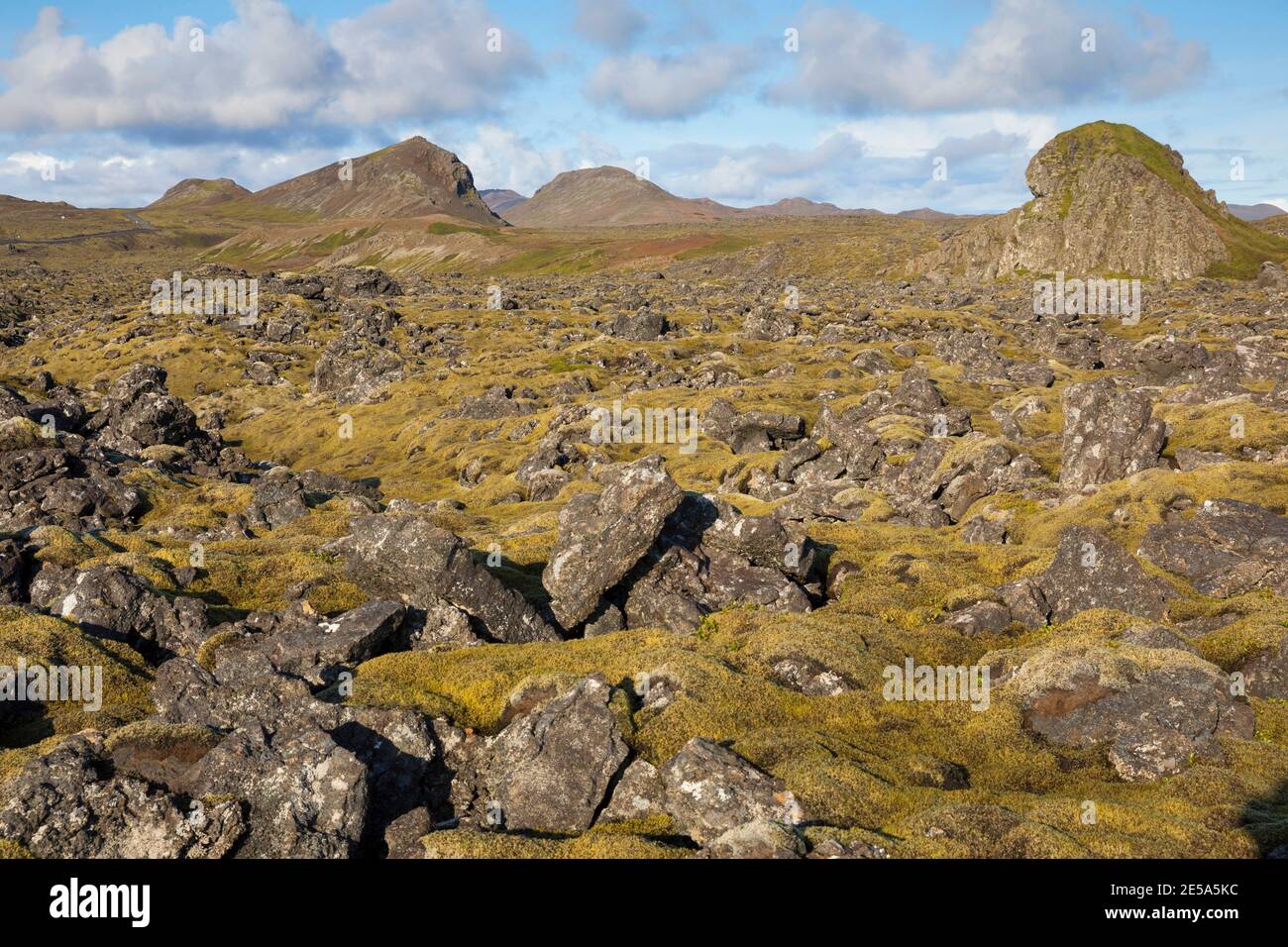 Paesaggio vulcanico con licheni e mossi, Islanda, Penisola di Reykjanes Foto Stock