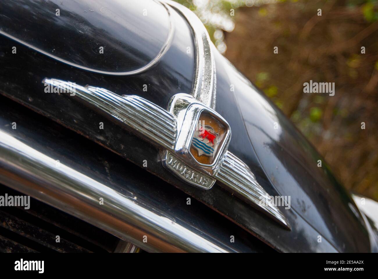 1955 Morris Isis classica berlina familiare britannica Foto Stock