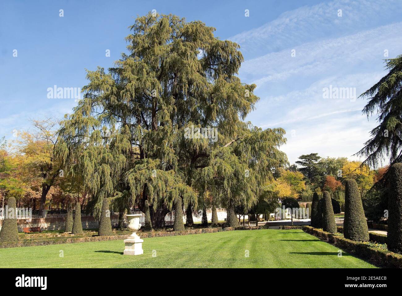 Parque del Retiro en Madrid Foto Stock