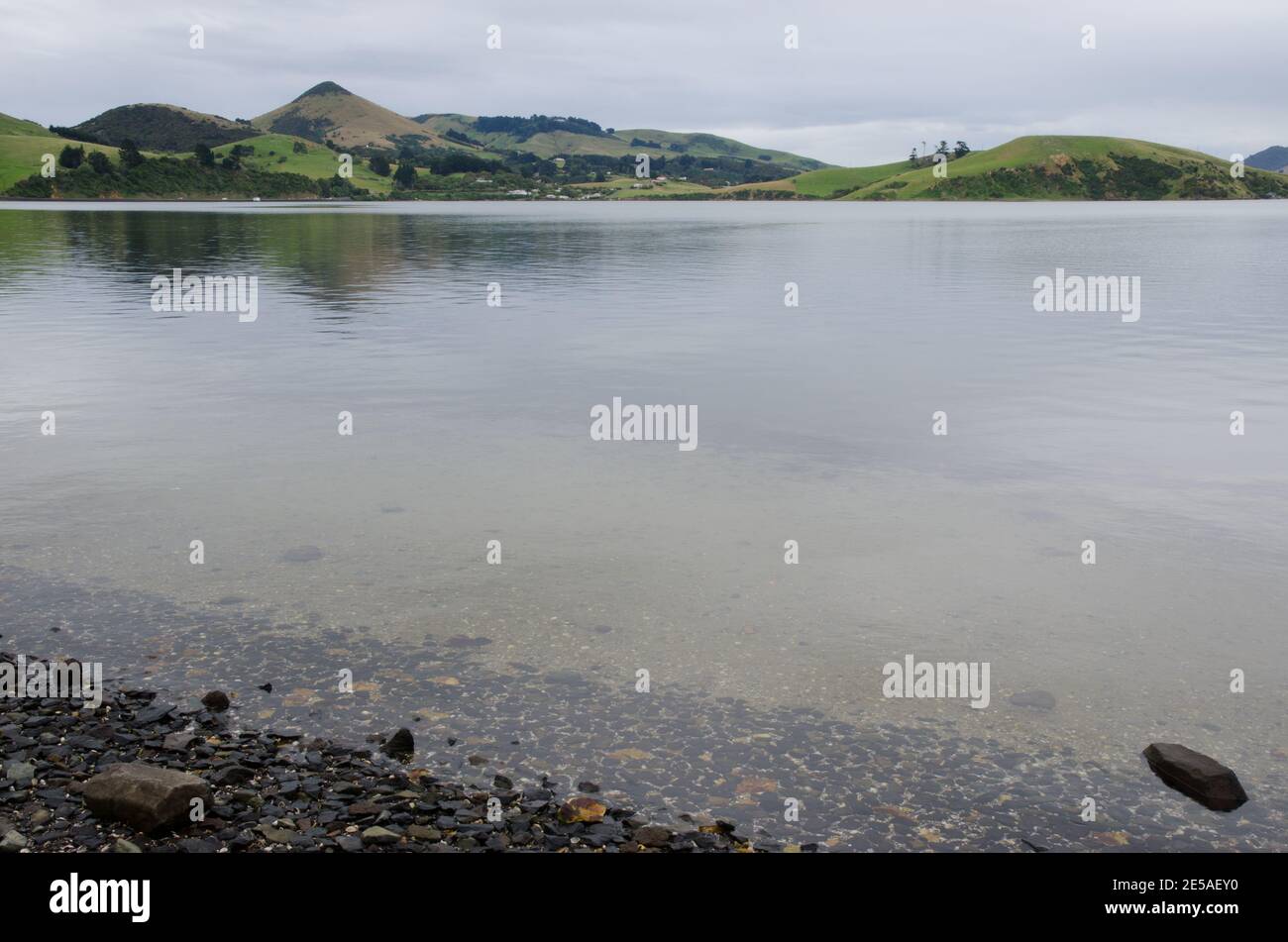 Mare nel porto di Otago. Penisola di Otago. Otago. Isola Sud. Nuova Zelanda. Foto Stock