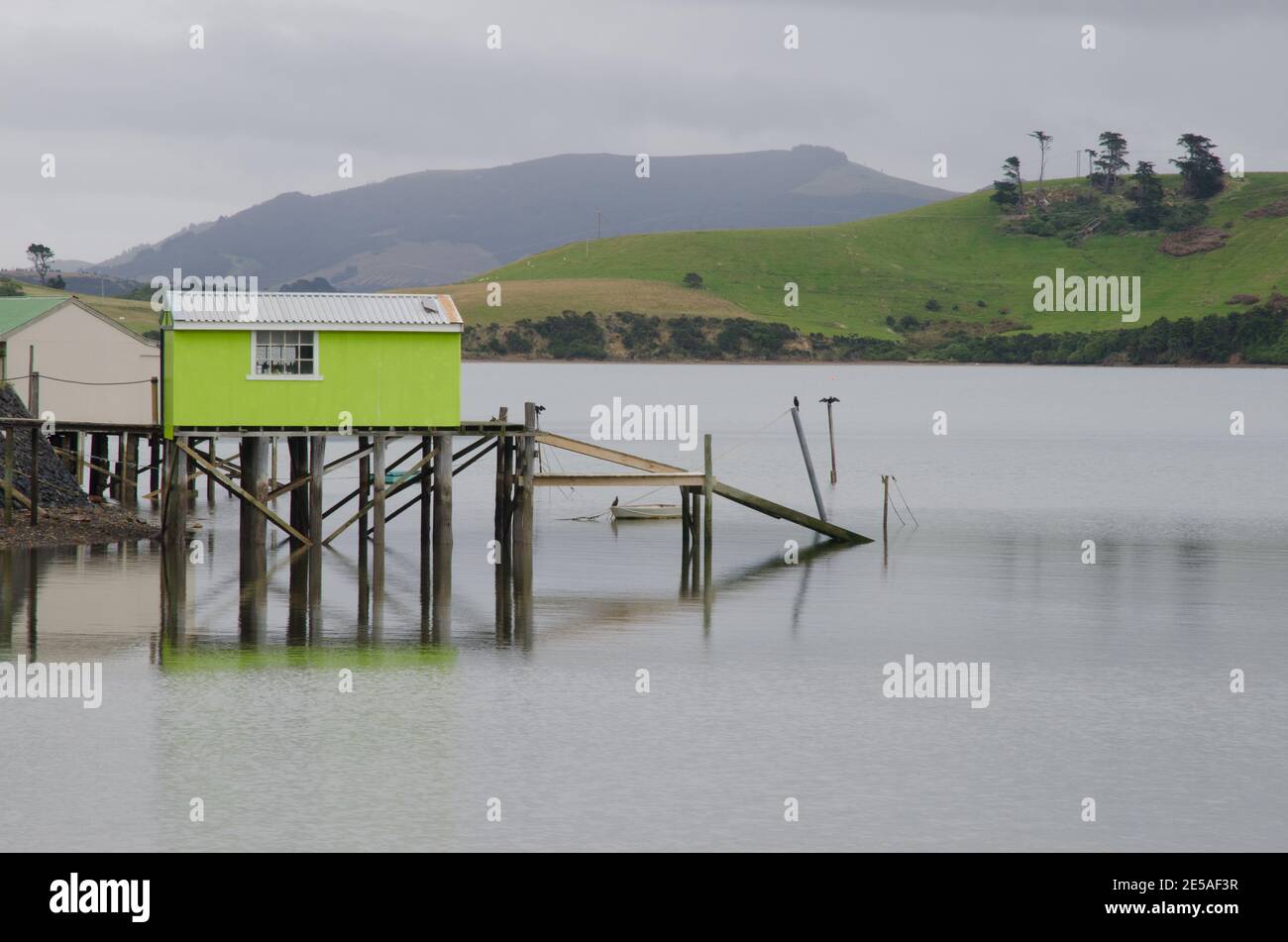 Mare nel porto di Otago. Penisola di Otago. Otago. Isola Sud. Nuova Zelanda. Foto Stock