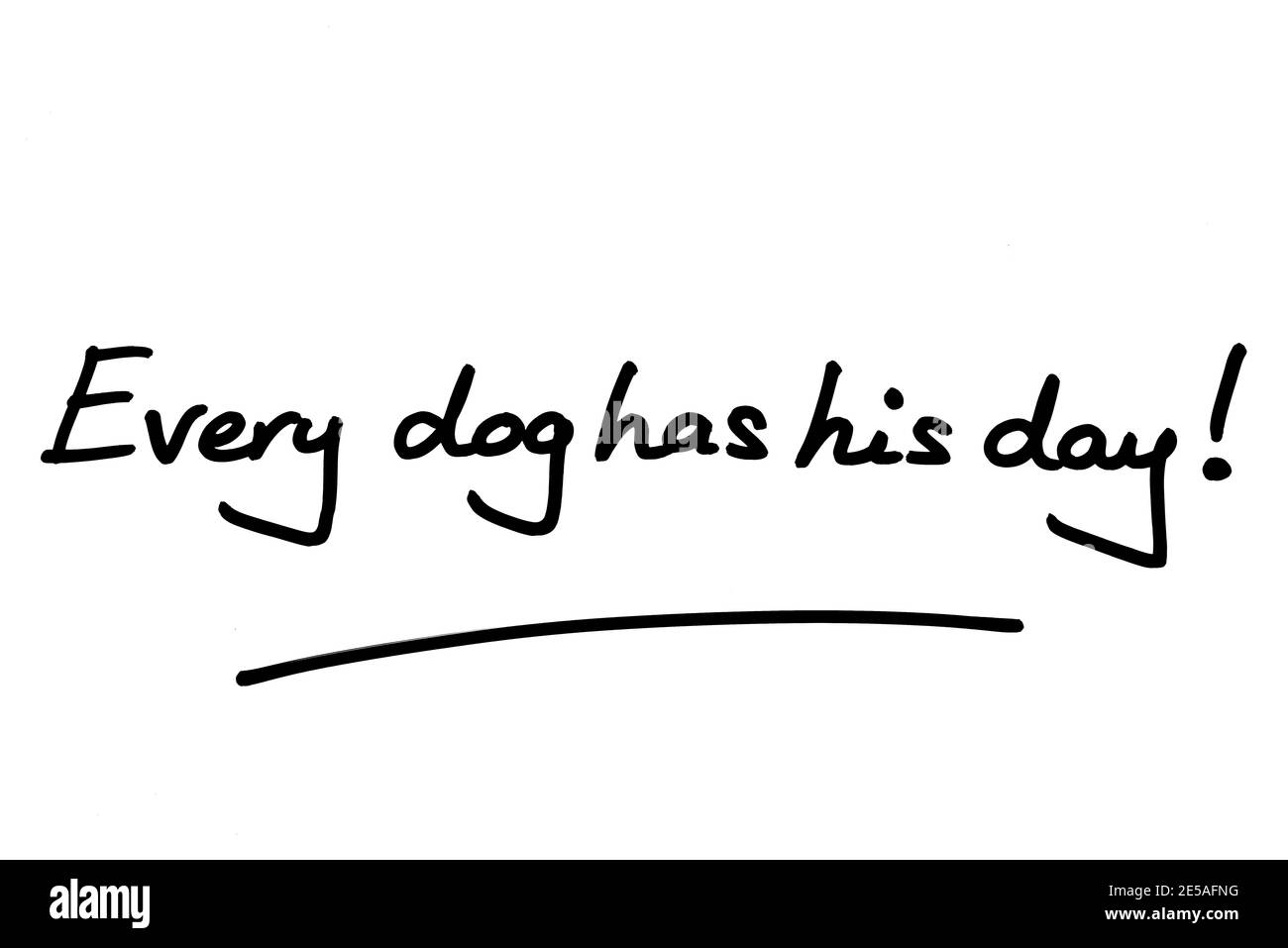 Ogni cane ha il suo giorno! scritto a mano su sfondo bianco. Foto Stock