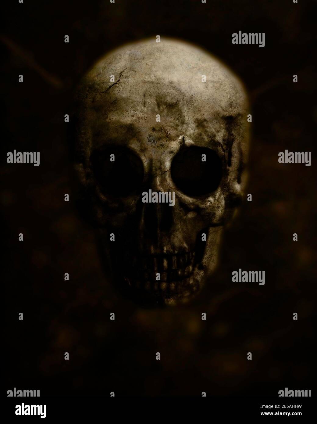 Scary Grunge Skull isolato su sfondo grigio Design per t-shirt Stampa con carta da parati cranio Halloween Foto Stock