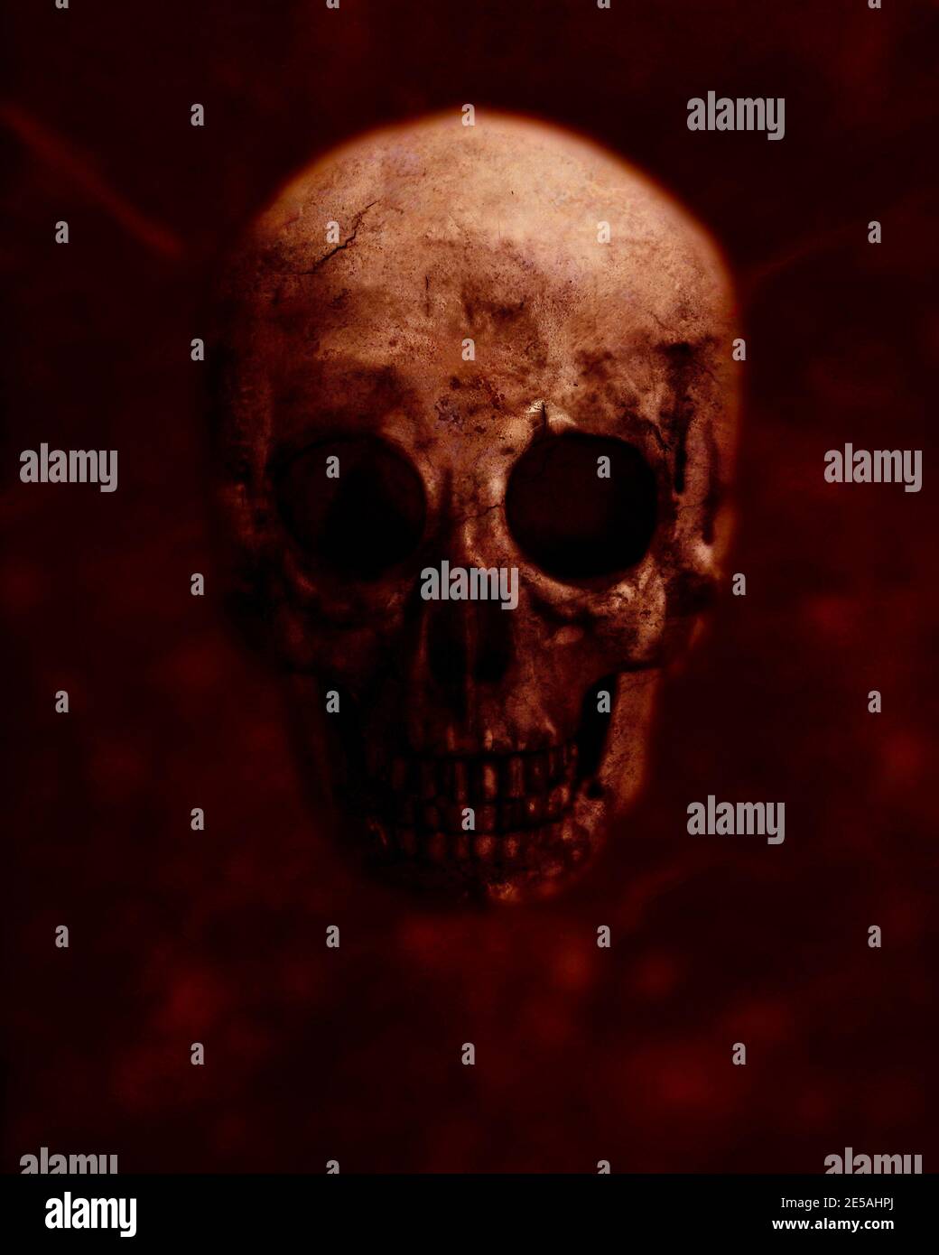 Scary Grunge Skull isolato su sfondo marrone Design per t-shirt Stampa con carta da parati cranio Halloween Foto Stock