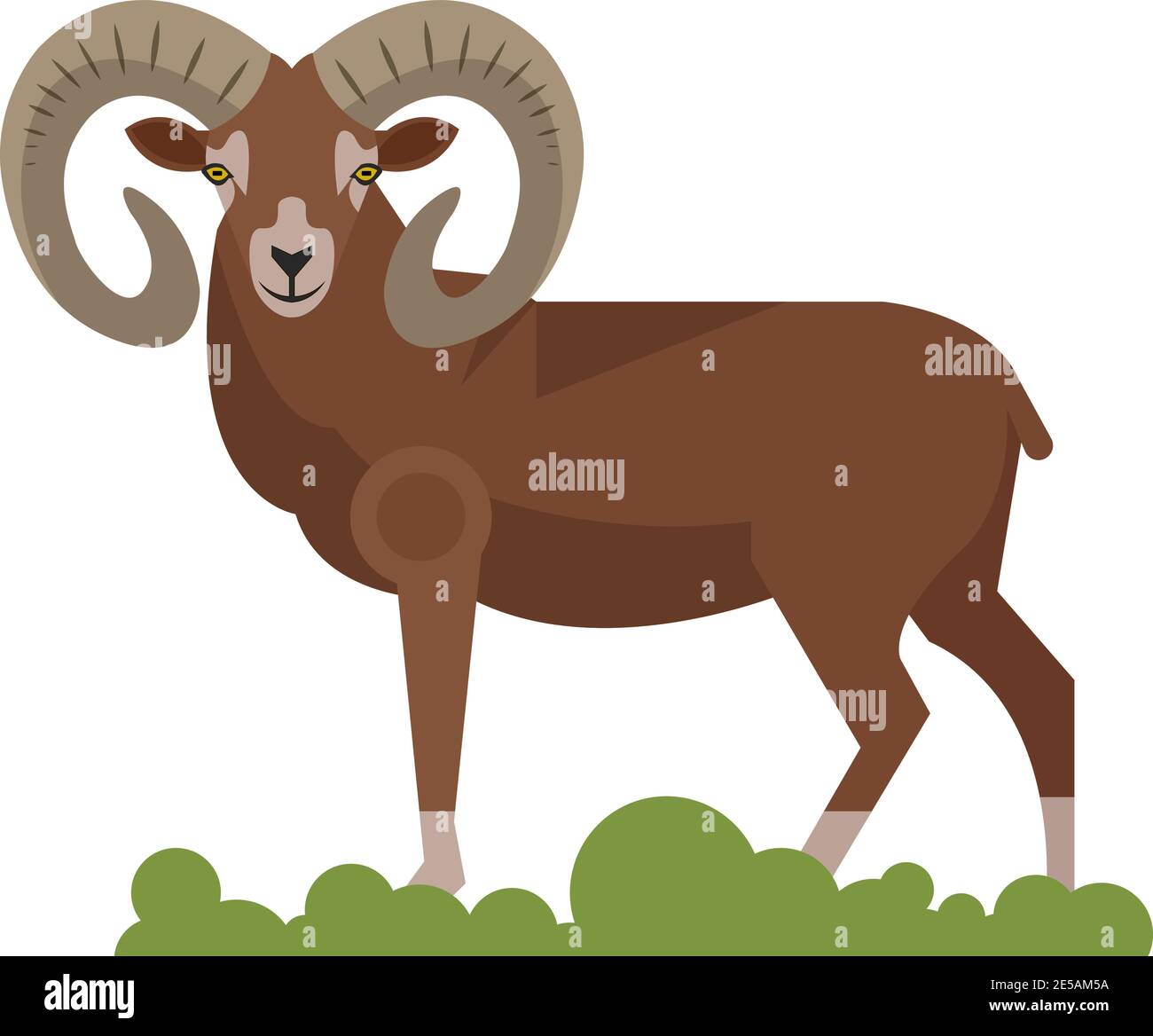 Bighorn ram animale selvaggio isolato su sfondo bianco Illustrazione Vettoriale