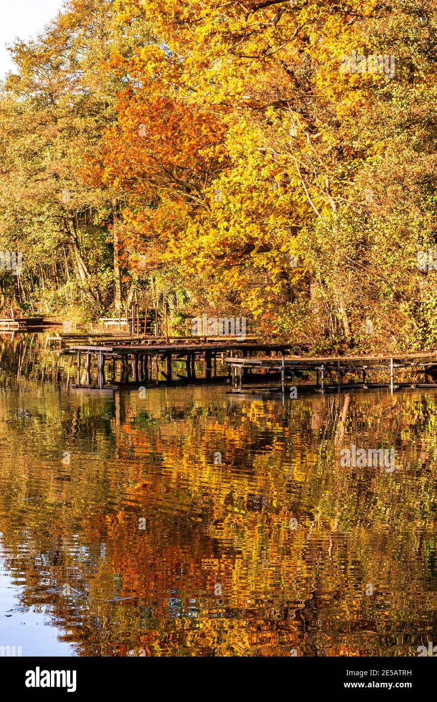 I bellissimi colori autunnali in Inghilterra Foto Stock