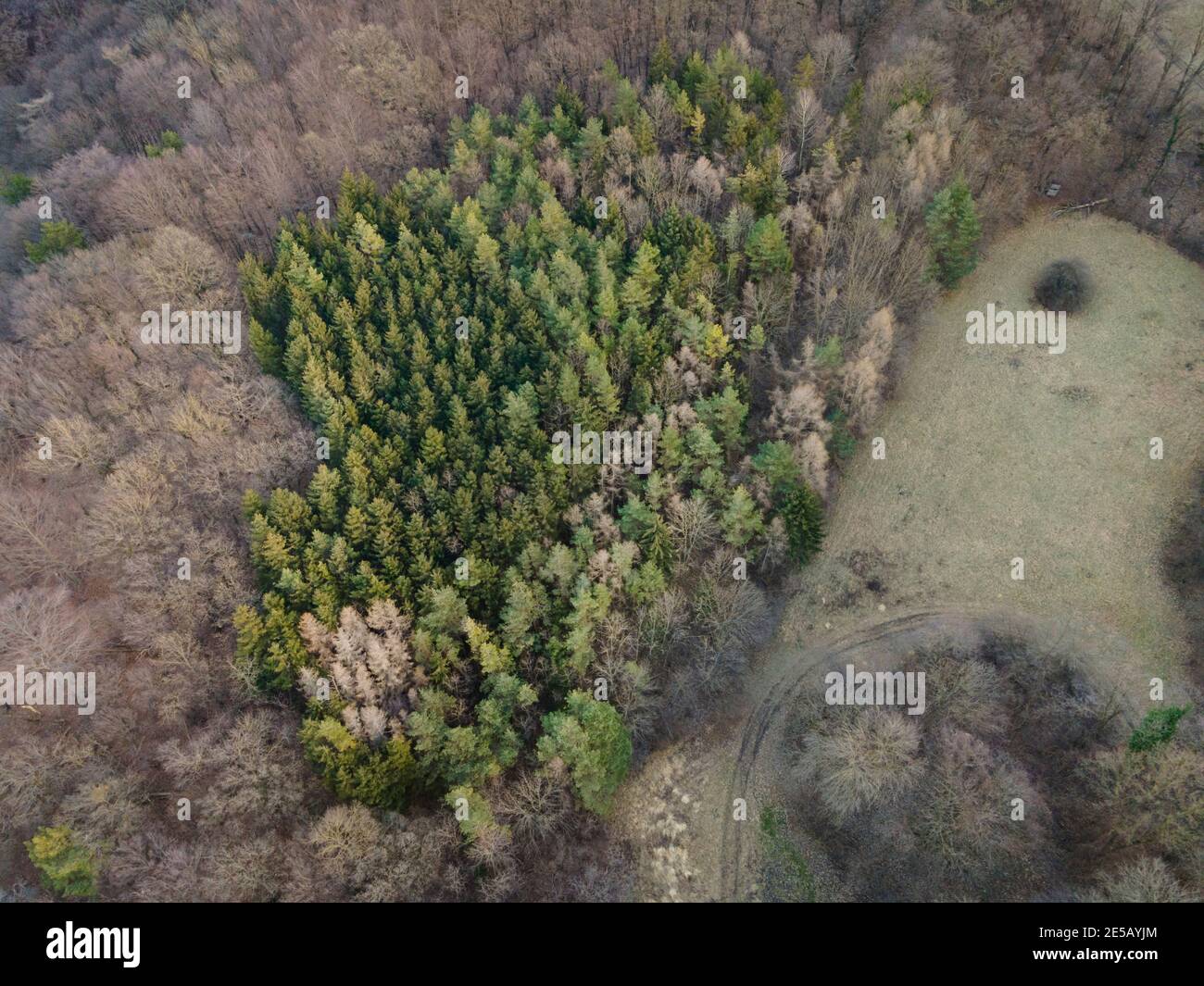 Bella immagine aerea drone della Vienna Woods in gennaio nel pomeriggio Foto Stock