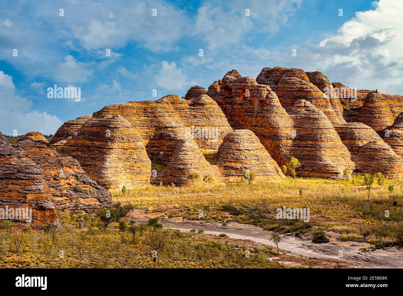 Giungla Bungles, Parco Nazionale di Purnulu, Regione di Kimberley, Australia Occidentale, Australia Foto Stock