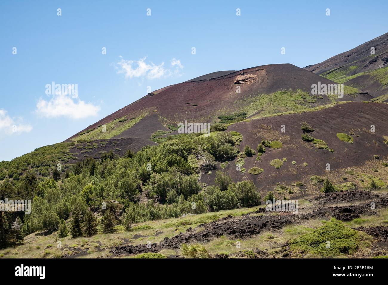 Monti Sartorius, un gruppo a cupole vulcaniche sul versante nord-orientale dell'Etna, Sicilia, Italia Foto Stock