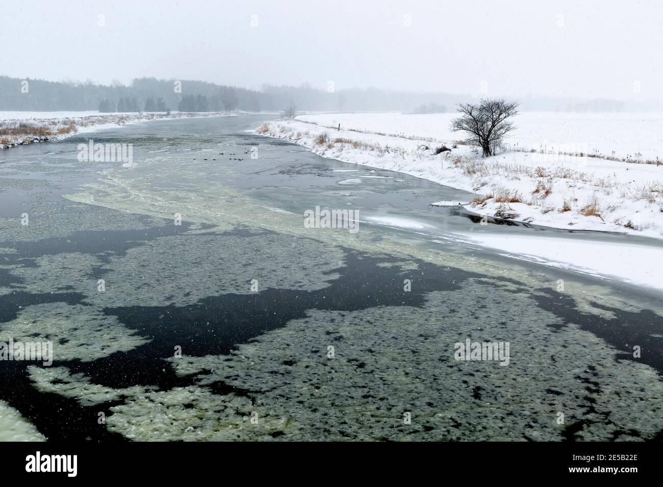 Ontario, Canada. Grand River durante la tempesta invernale della neve. Foto Stock