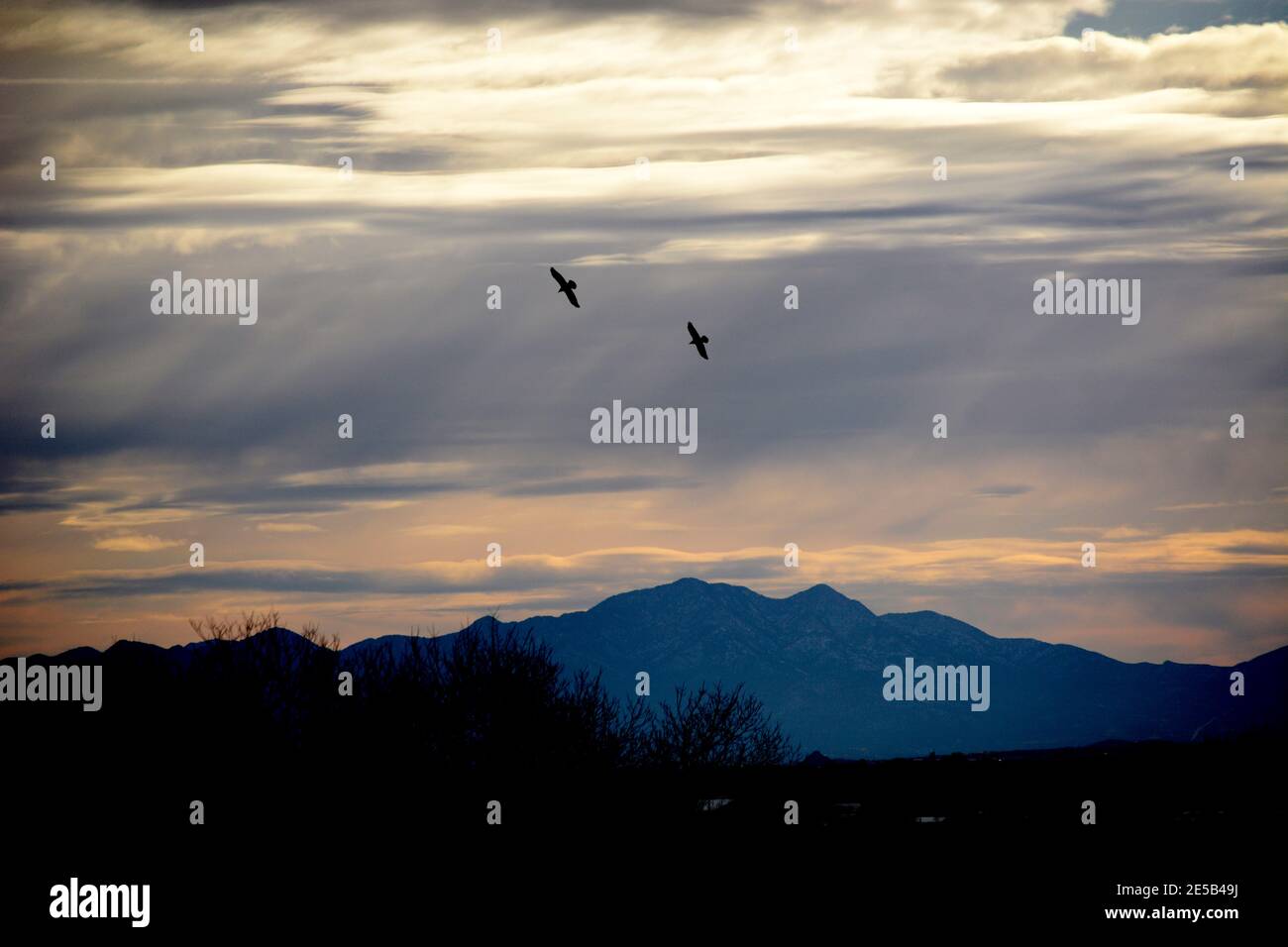 Un paio di corvi sorvolano nel cielo del tardo pomeriggio sul sud-ovest americano vicino a Santa Fe, New Mexico. Foto Stock