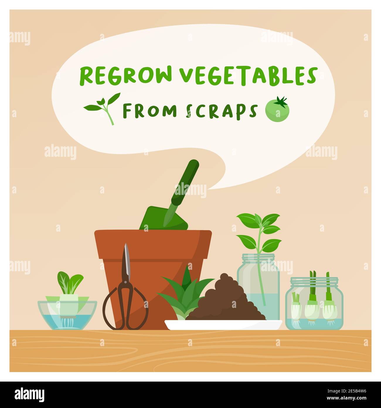 Ricrescere le verdure dagli scarti a casa: Zero sprechi, giardinaggio fai da te e concetto di cibo sano Illustrazione Vettoriale