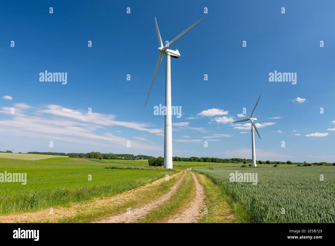 Turbine eoliche che producono elettricità, costruite su un campo a Skanderborg, Danimarca Foto Stock