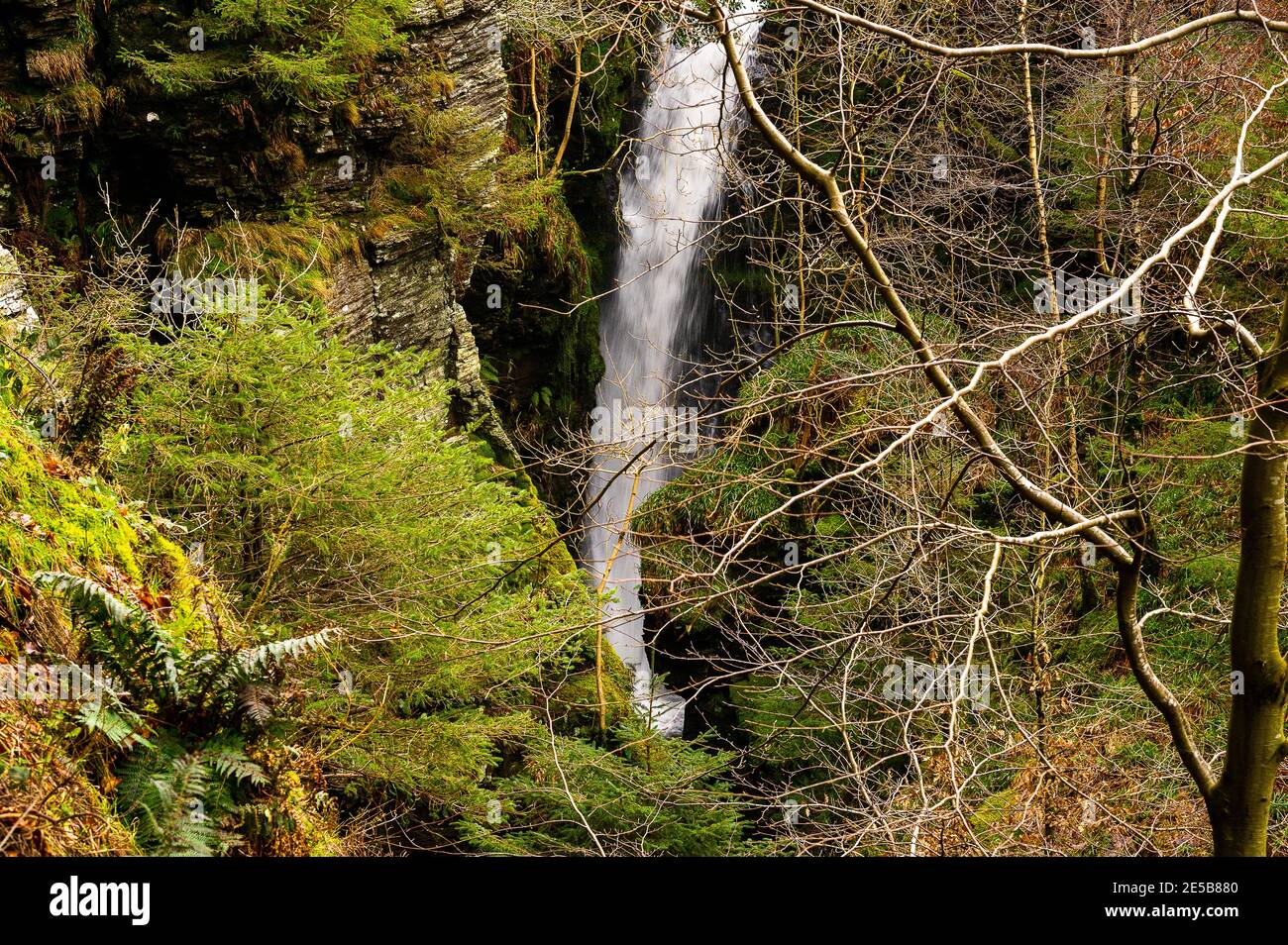 Cascate di But Force, Whinlatter, Lake District, Cumbria, Inghilterra Foto Stock