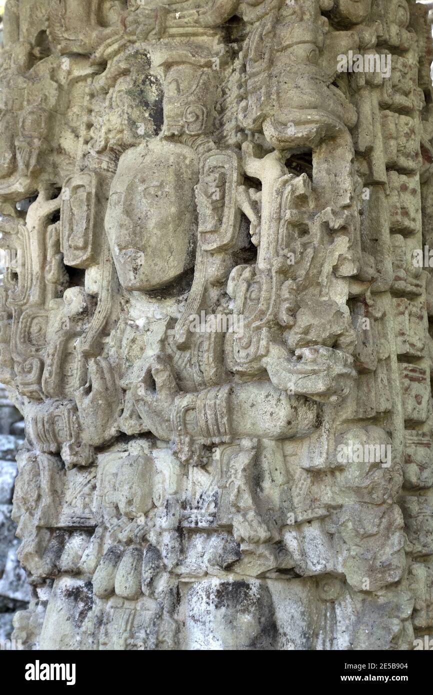 Copan, Honduras, America Centrale: Stela del governatore maya in Copan. Copan è un sito archeologico della civiltà Maya vicino al Guatemala Foto Stock